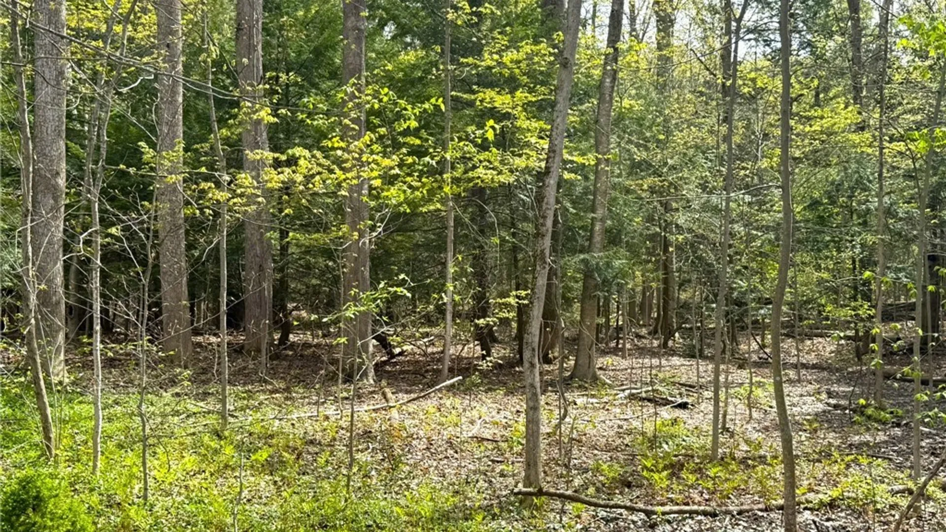 Property at 8740 Patrol Road, Lysander, NY 13027 29