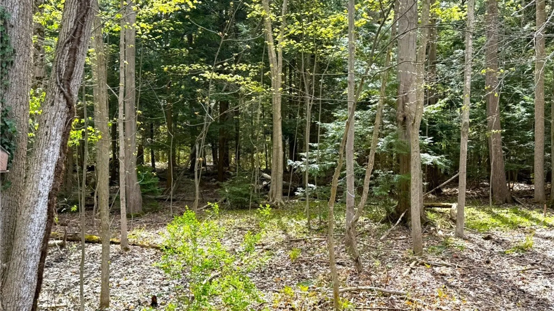 Property at 8740 Patrol Road, Lysander, NY 13027 30