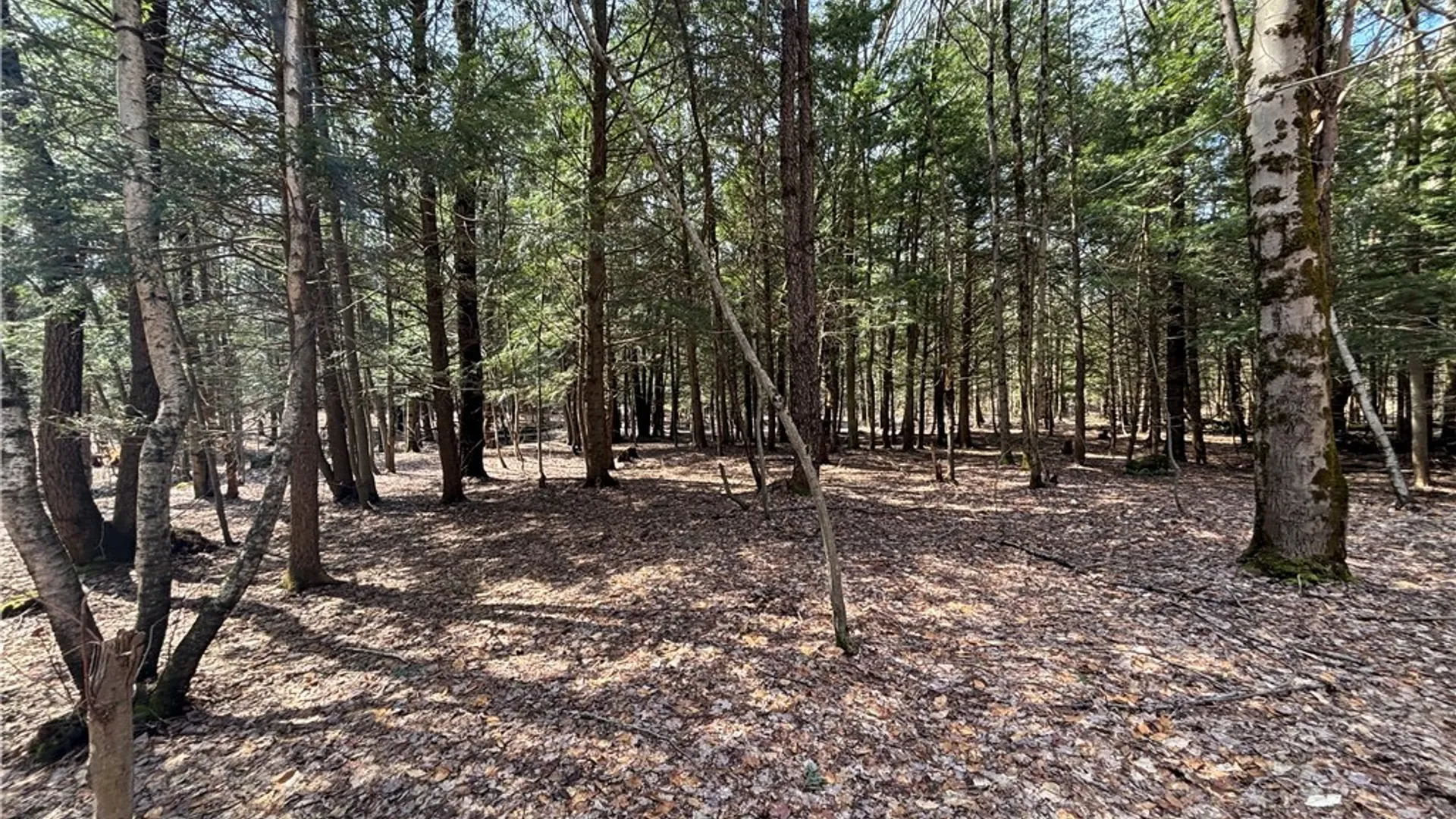 Property at 353 White Road, Parish, NY 13131 8