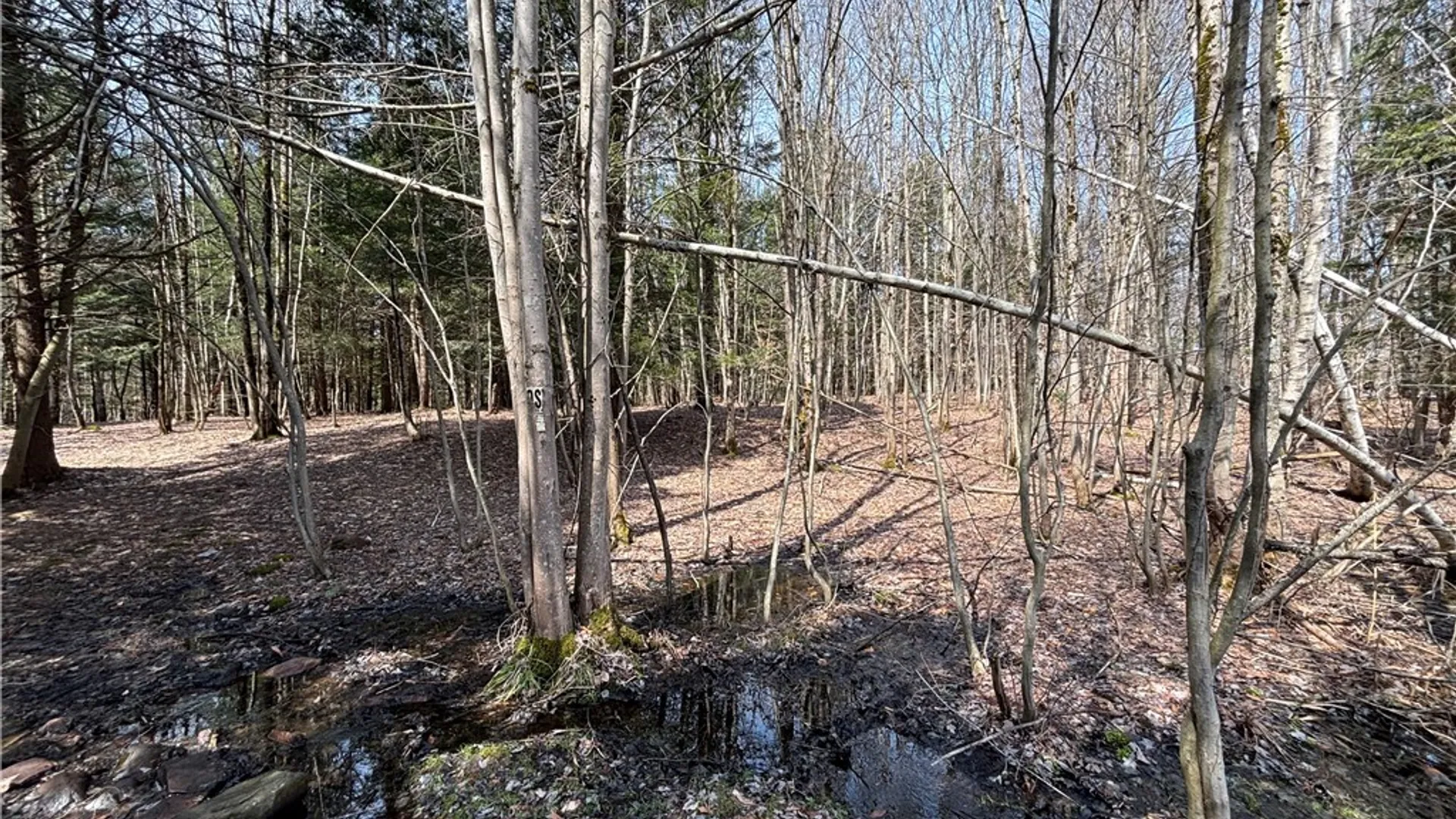 Property at 353 White Road, Parish, NY 13131 9