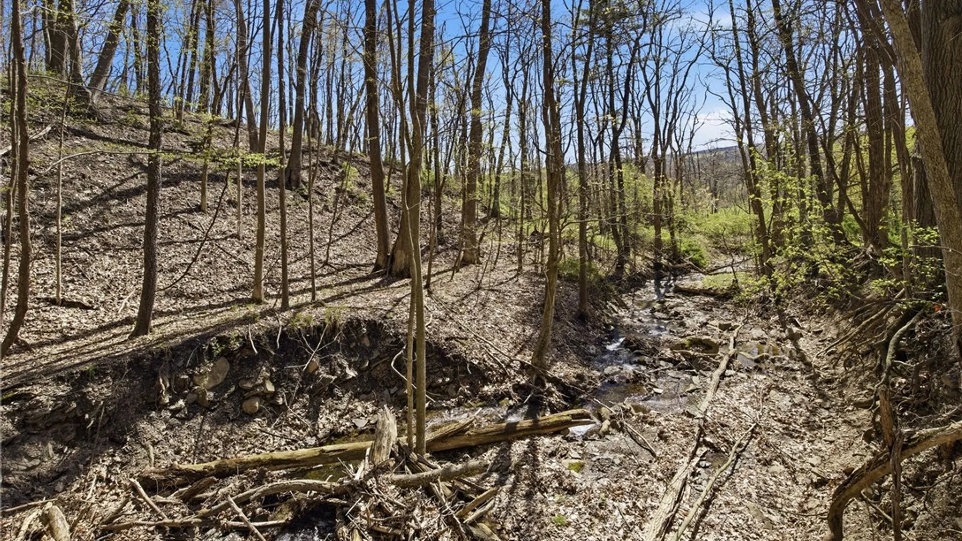 Property at 3235 Valley Road, Jerusalem, NY 14418 20