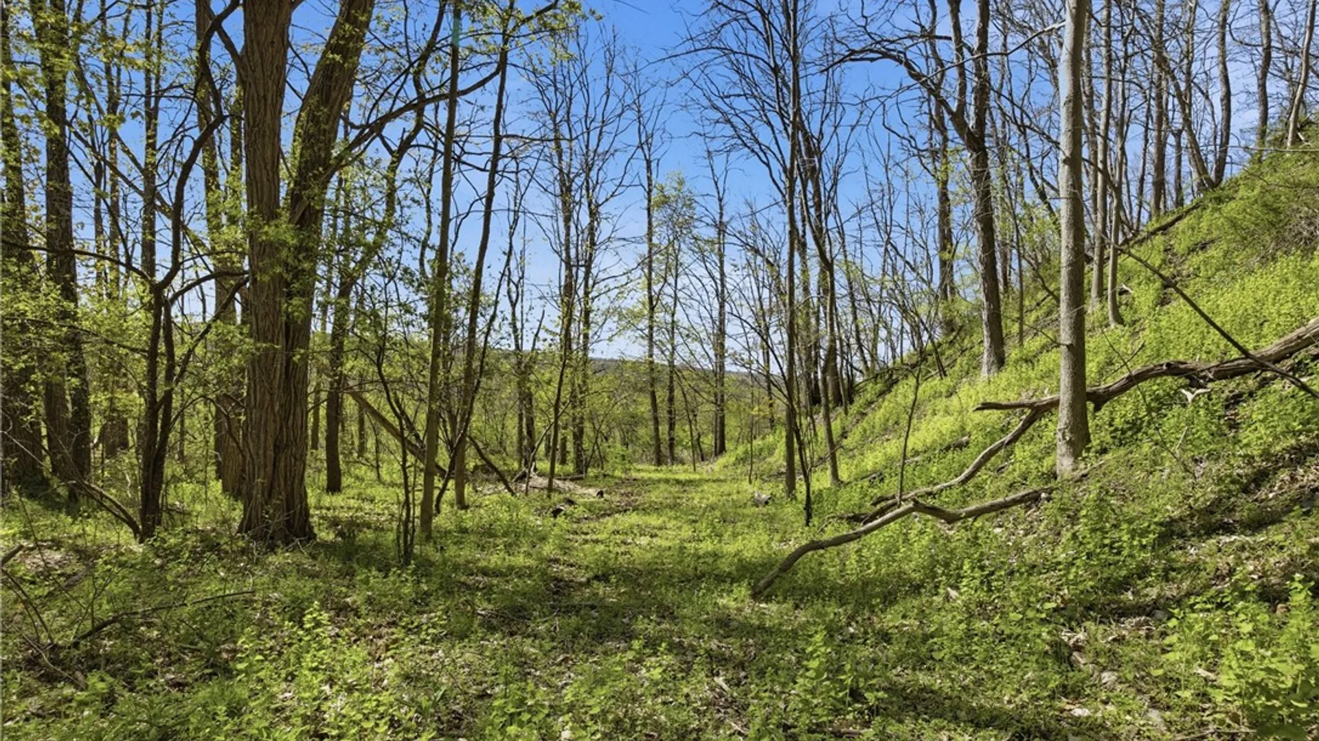 Property at 3235 Valley Road, Jerusalem, NY 14418 27