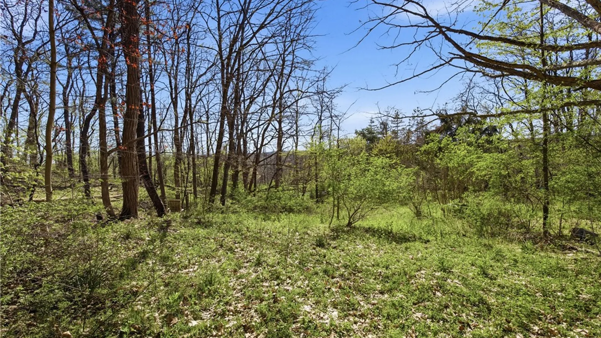 Property at 3235 Valley Road, Jerusalem, NY 14418 28