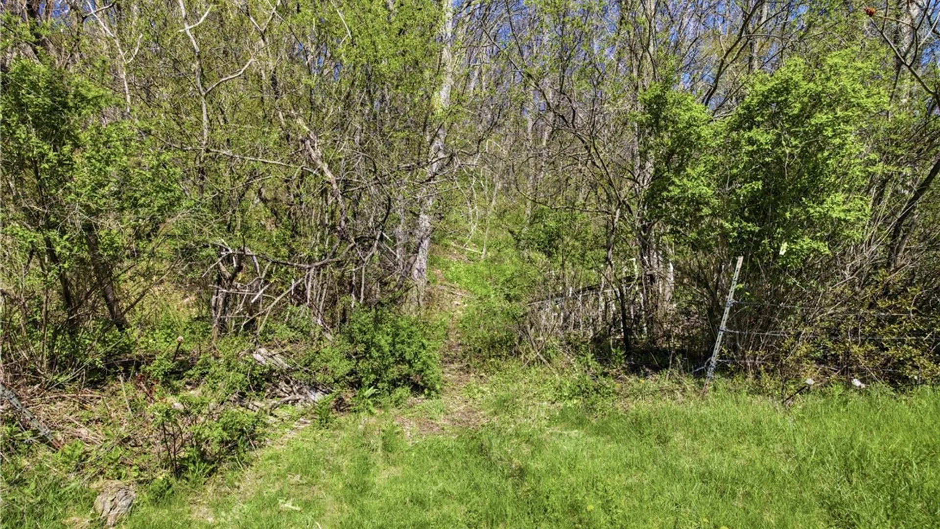 Property at 3235 Valley Road, Jerusalem, NY 14418 31