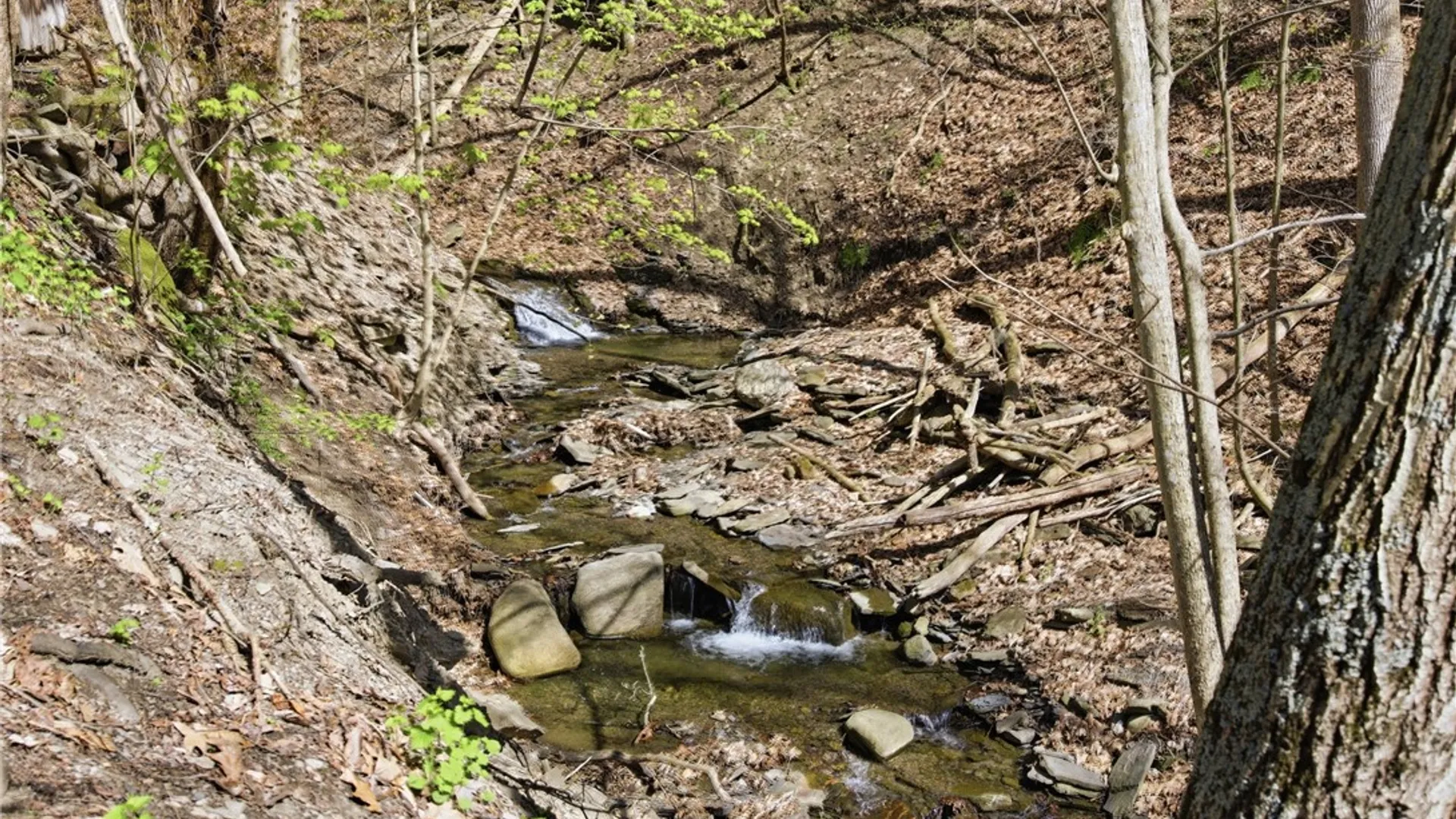 Property at 3235 Valley Road, Jerusalem, NY 14418 9