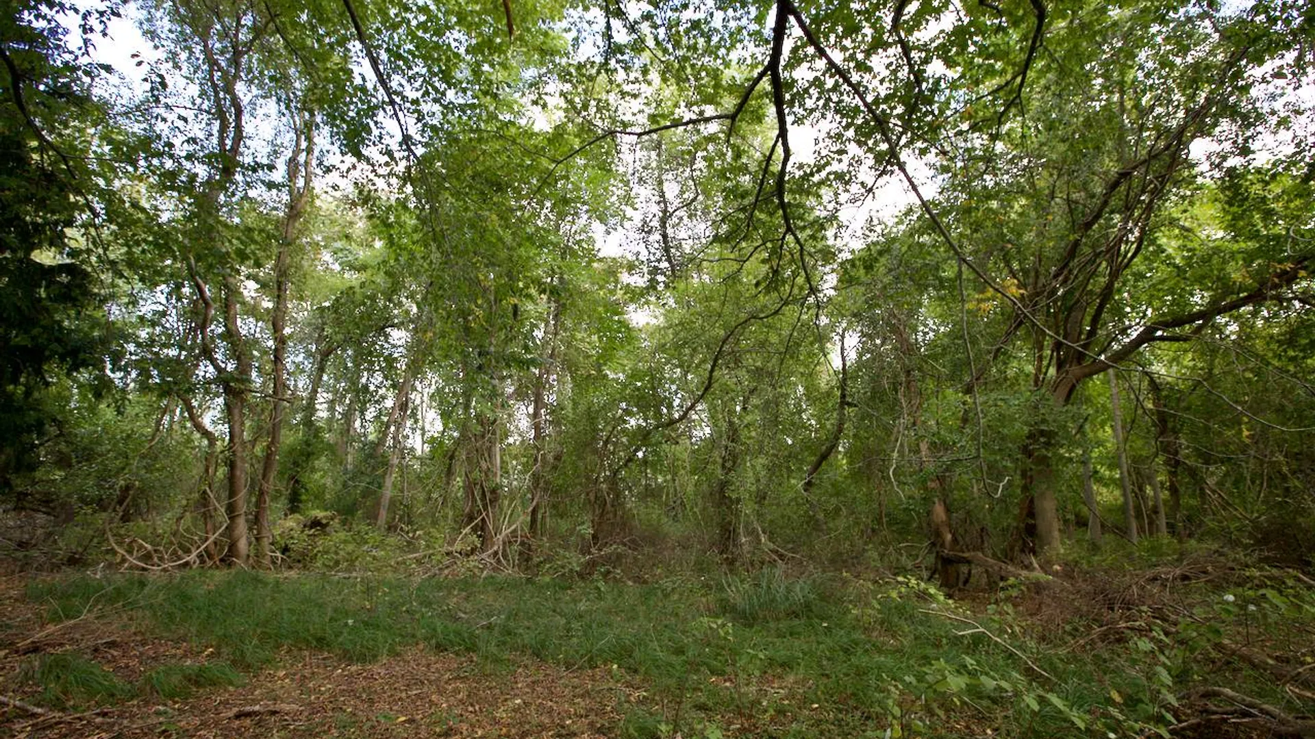 Property at 1 Strawberry Lane, Shelter Island, NY 11964 2