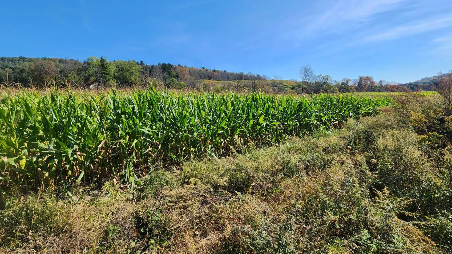 Property at 0 County Road 38, Guilford, NY 13780 12