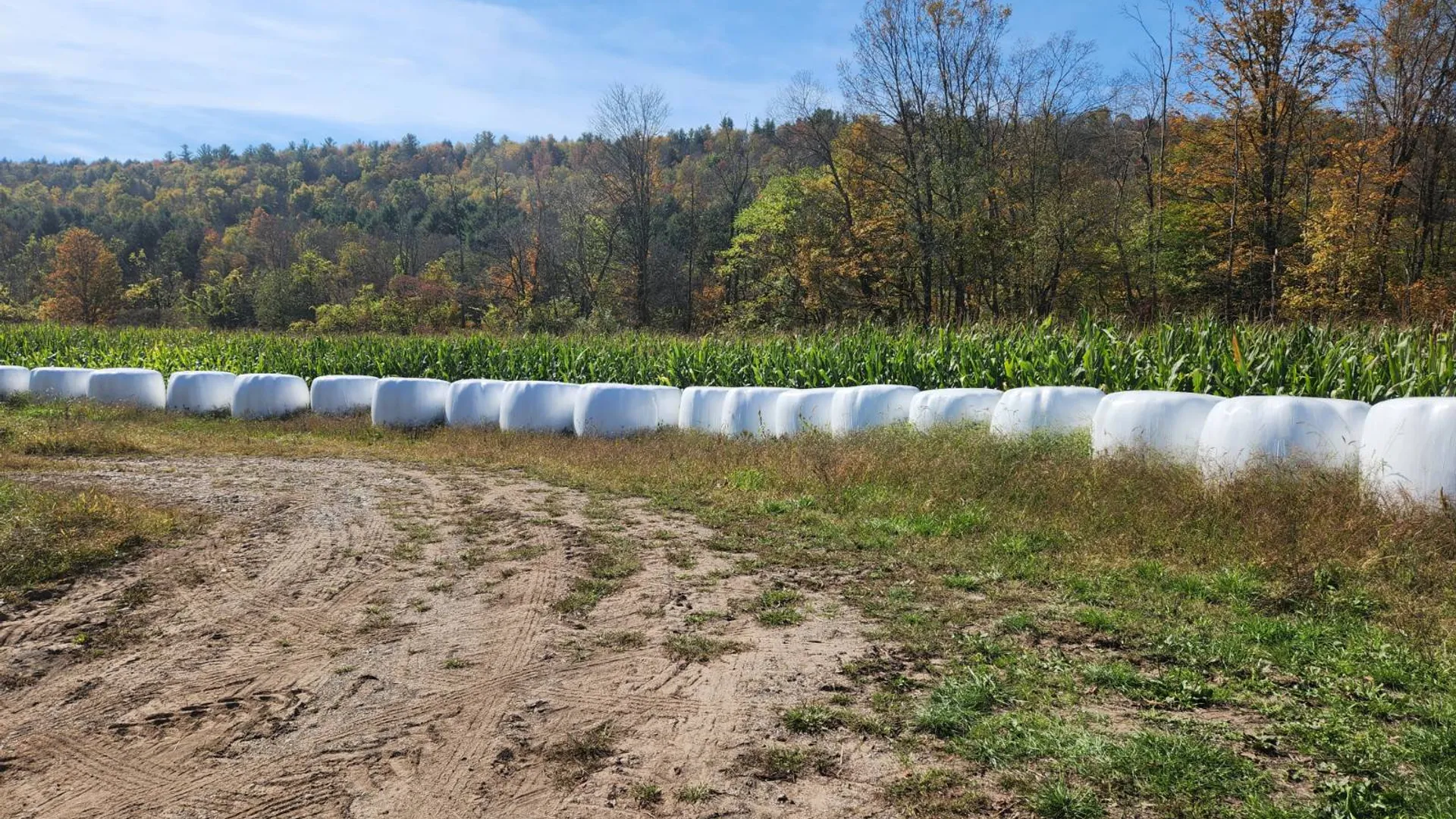 Property at 0 County Road 38, Guilford, NY 13780 2