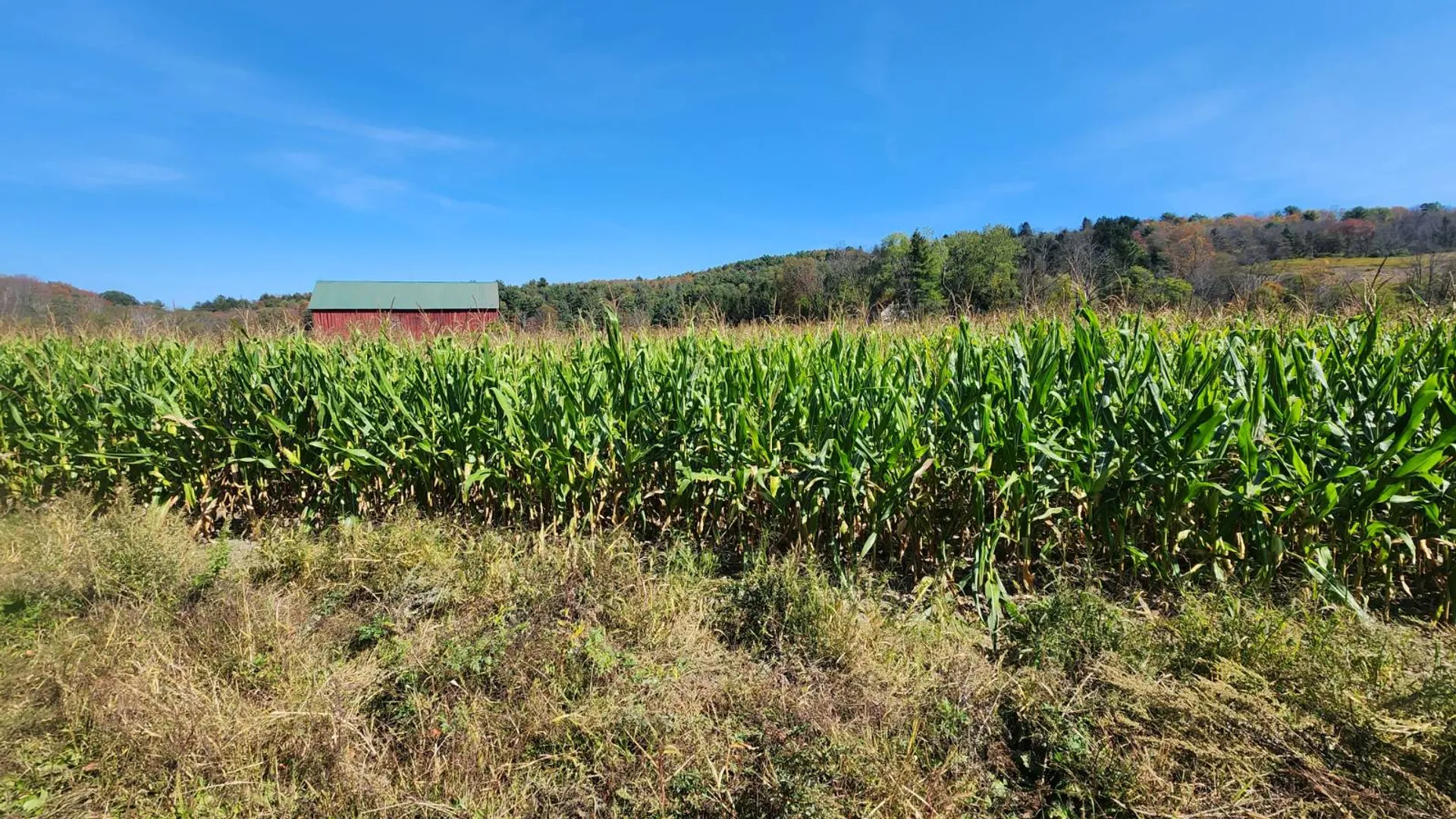 Property at 0 County Road 38, Guilford, NY 13780 4