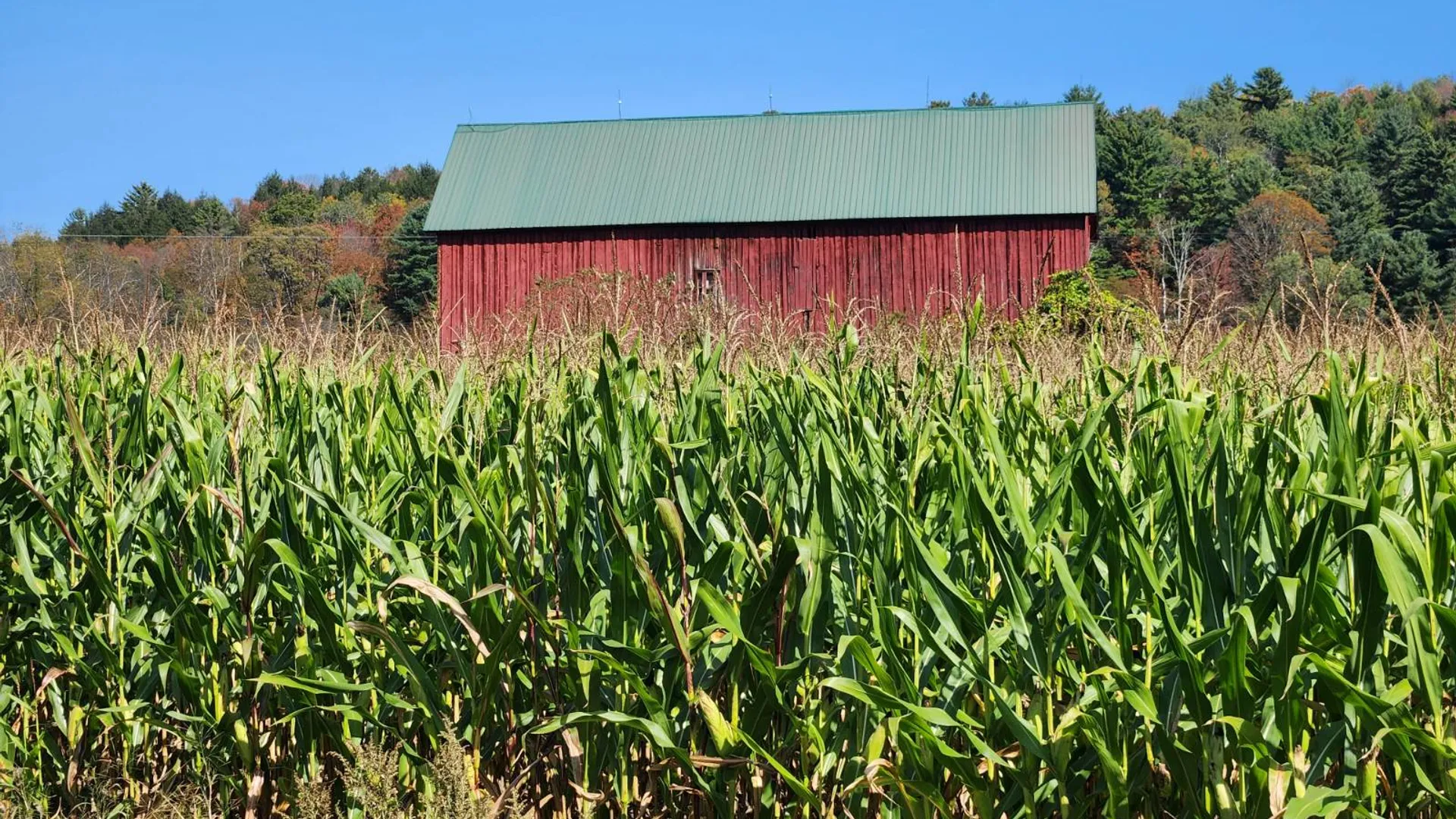 Property at 0 County Road 38, Guilford, NY 13780 5