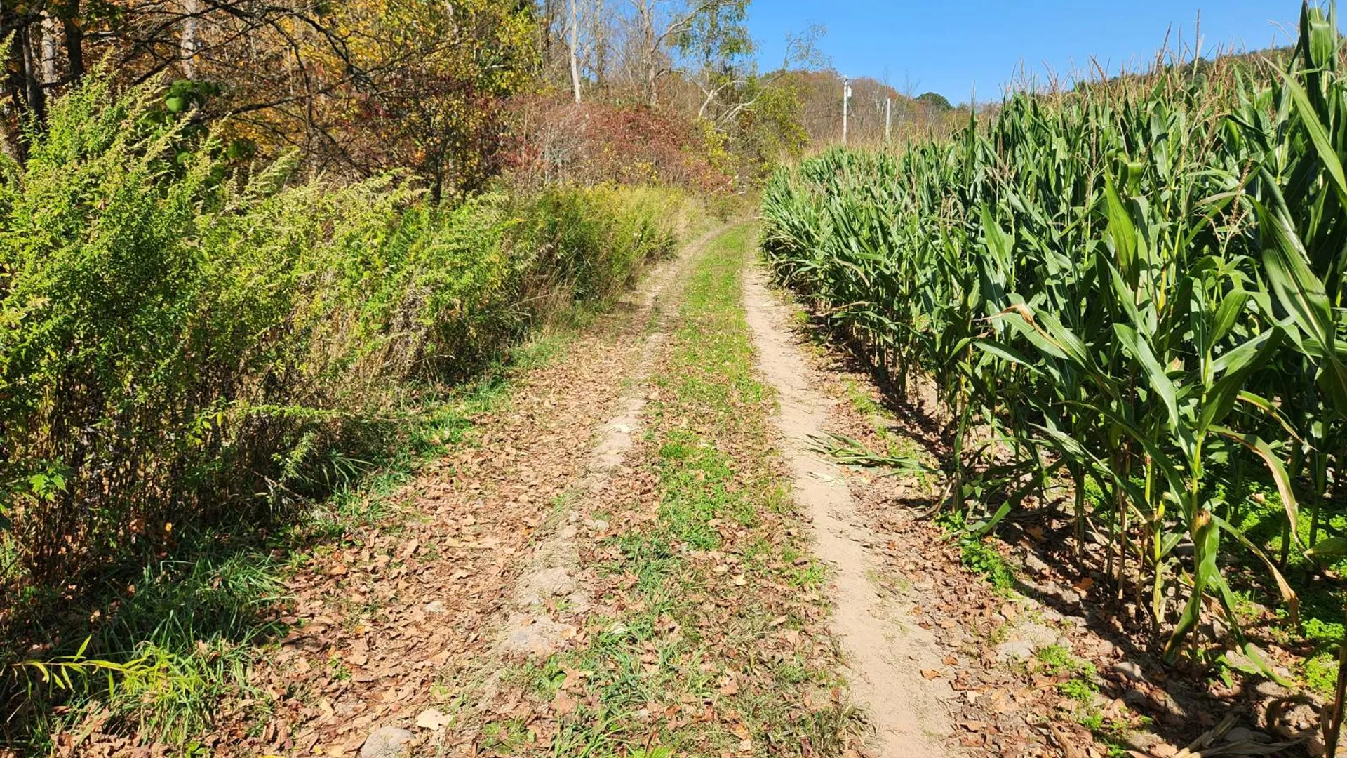 Property at 0 County Road 38, Guilford, NY 13780 8