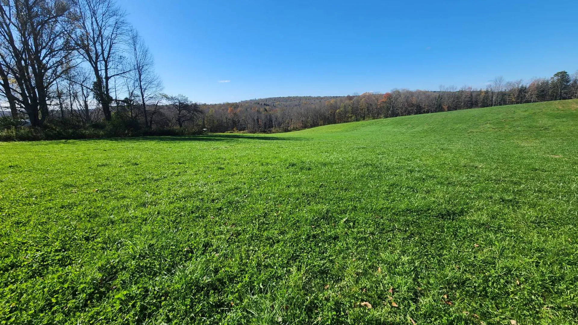 Property at 0 Hoffman, Guilford, NY 13780 2