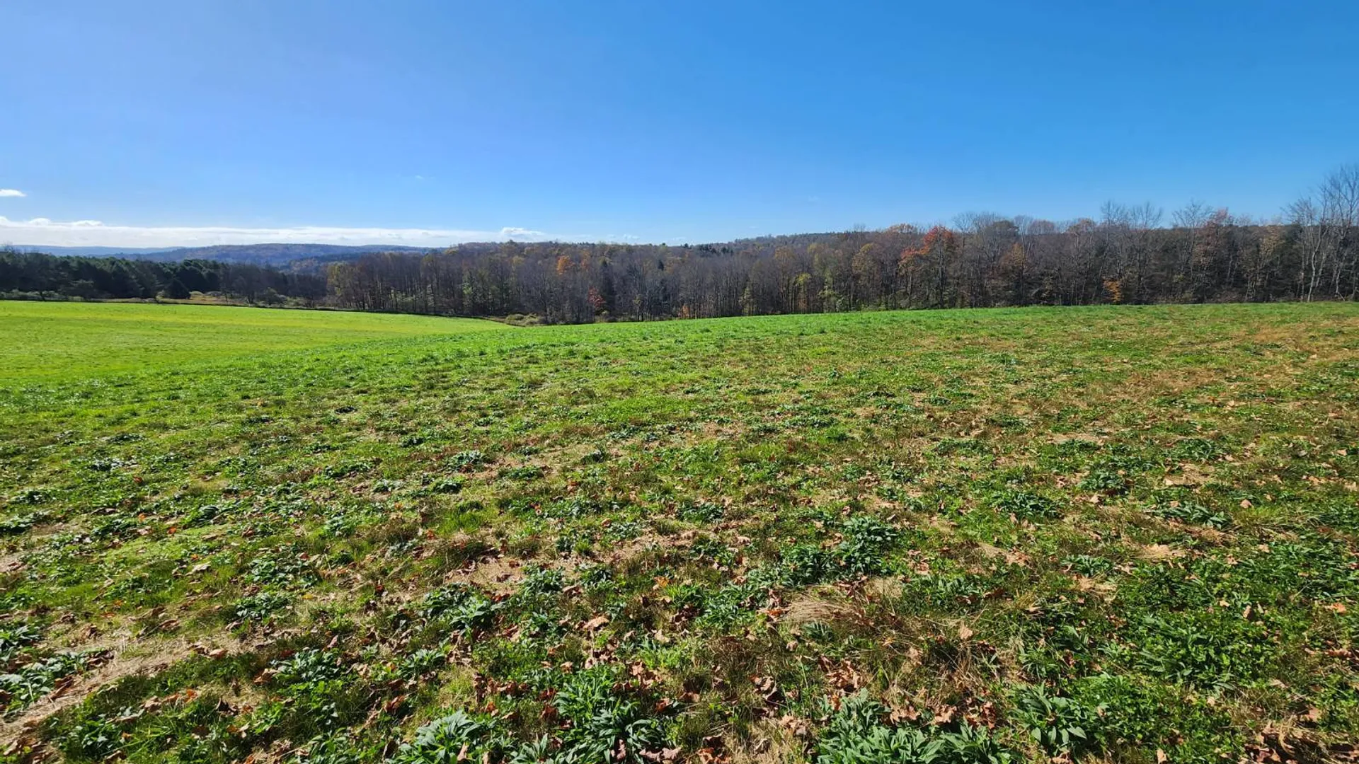 Property at 0 Hoffman, Guilford, NY 13780 4