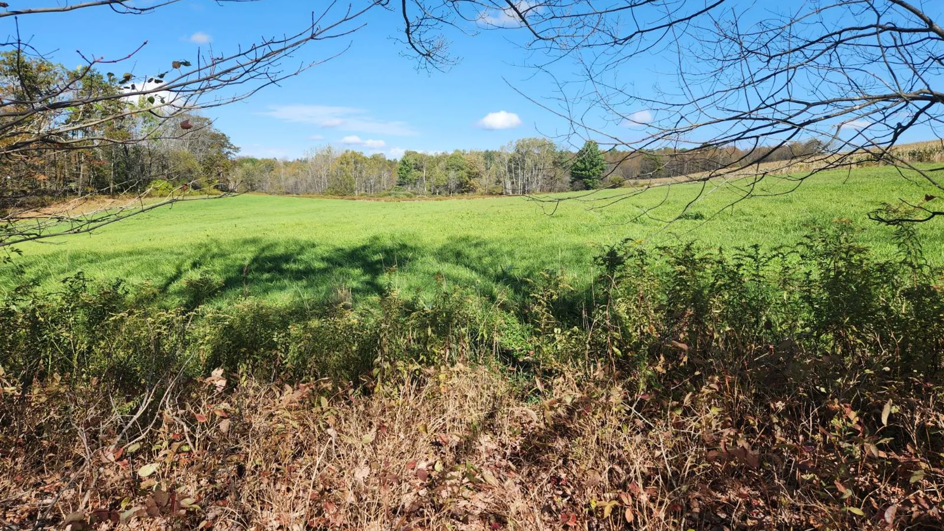 Property at 00 Hoffman Road, Guilford, NY 13780 11