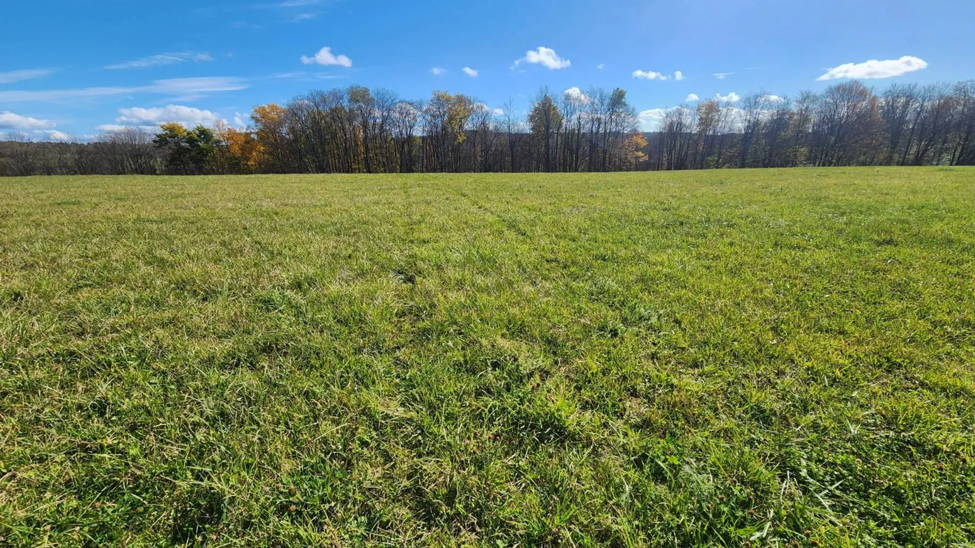 Property at 00 Hoffman Road, Guilford, NY 13780 6