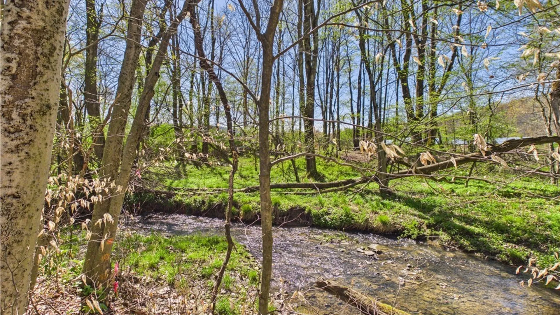 Property at 1707 Haskell Parkway, Portville, NY 14760 32