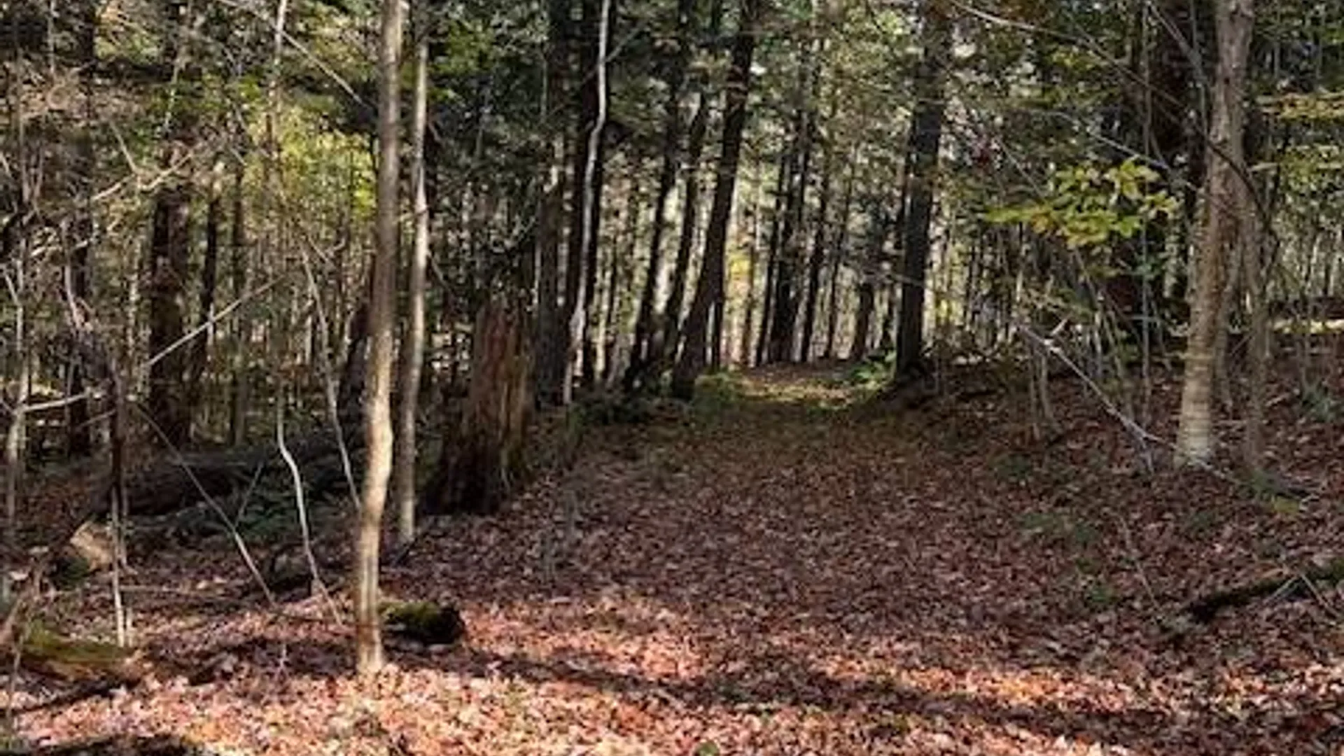Property at 220-2 Belden Corners Rd, Dolgeville, NY 13329 10