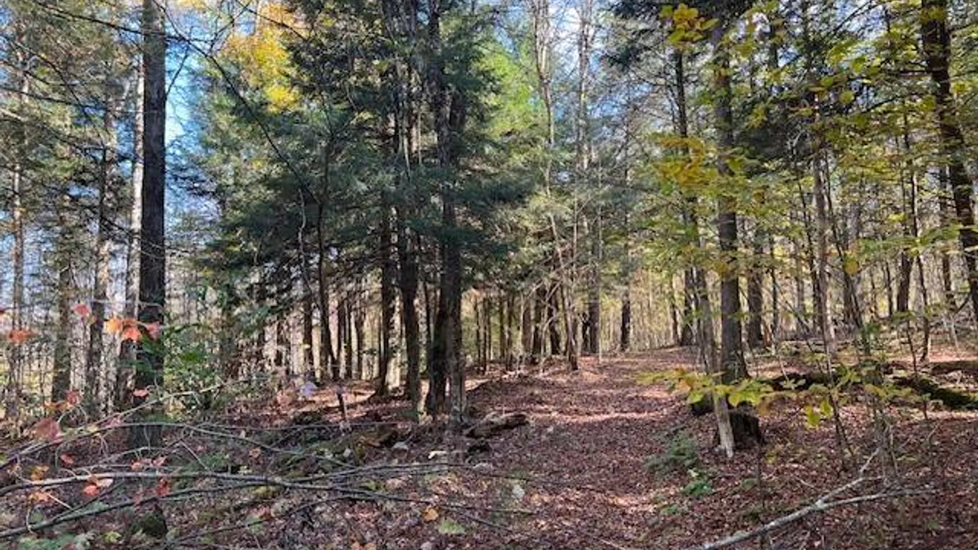 Property at 220-2 Belden Corners Rd, Dolgeville, NY 13329 14