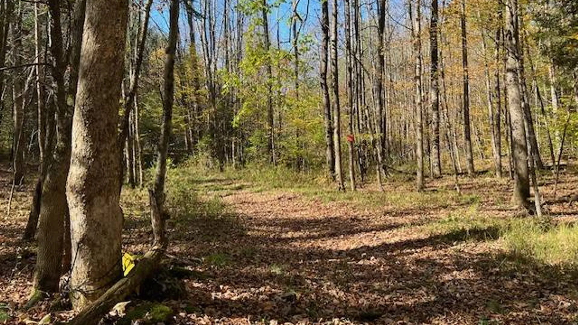 Property at 220-2 Belden Corners Rd, Dolgeville, NY 13329 18
