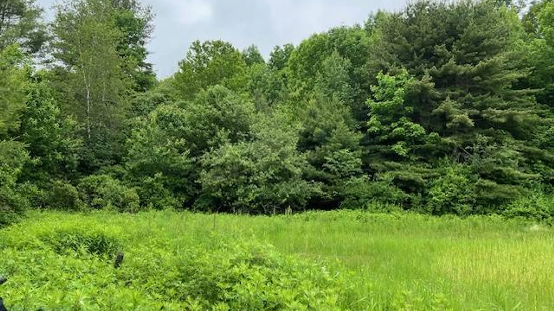Property at 220-2 Belden Corners Rd, Dolgeville, NY 13329 23