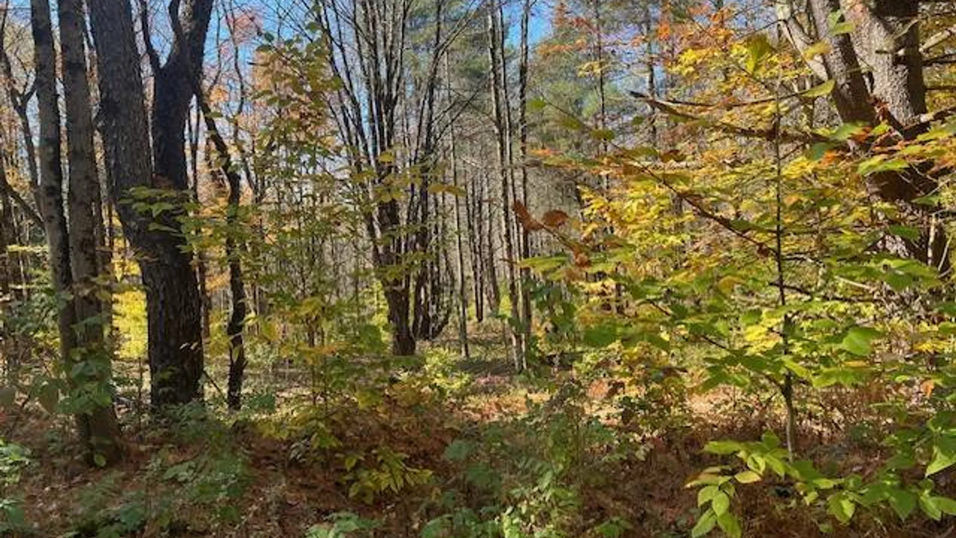 Property at 220-2 Belden Corners Rd, Dolgeville, NY 13329 5