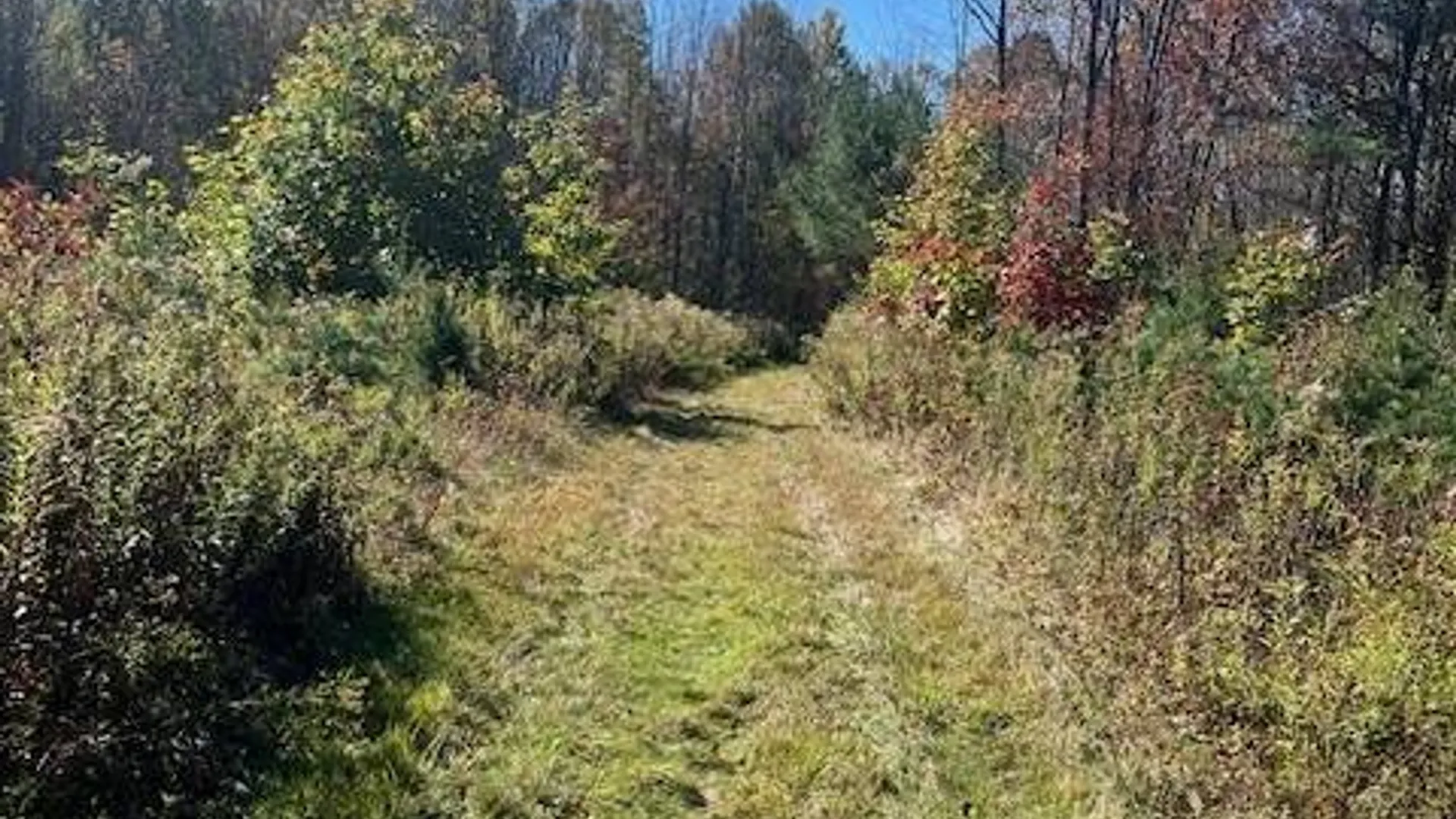 Property at 220-2 Belden Corners Rd, Dolgeville, NY 13329 8