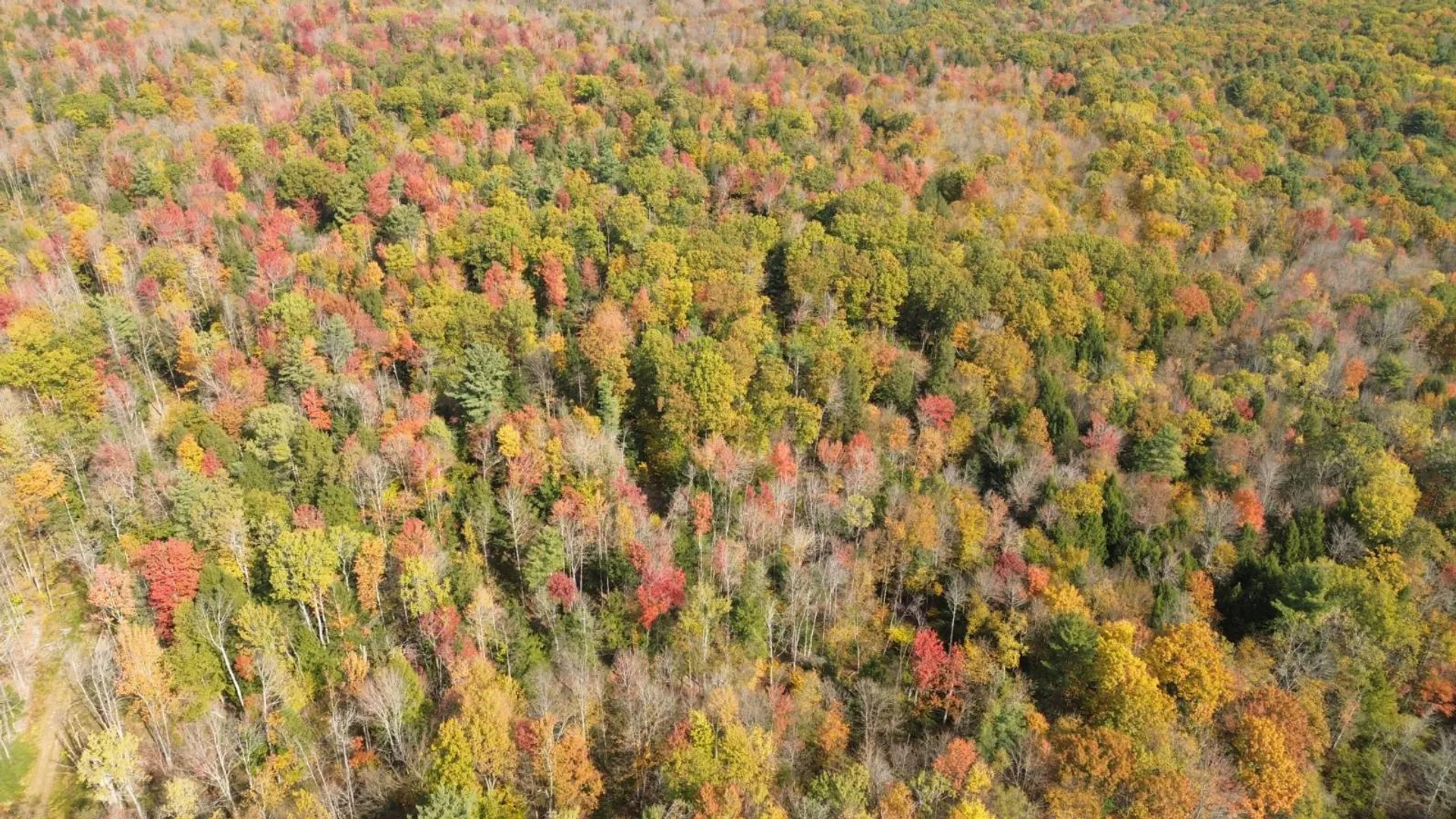 Property at 2006 State Hwy 29a, Gloversville, NY 12078 3