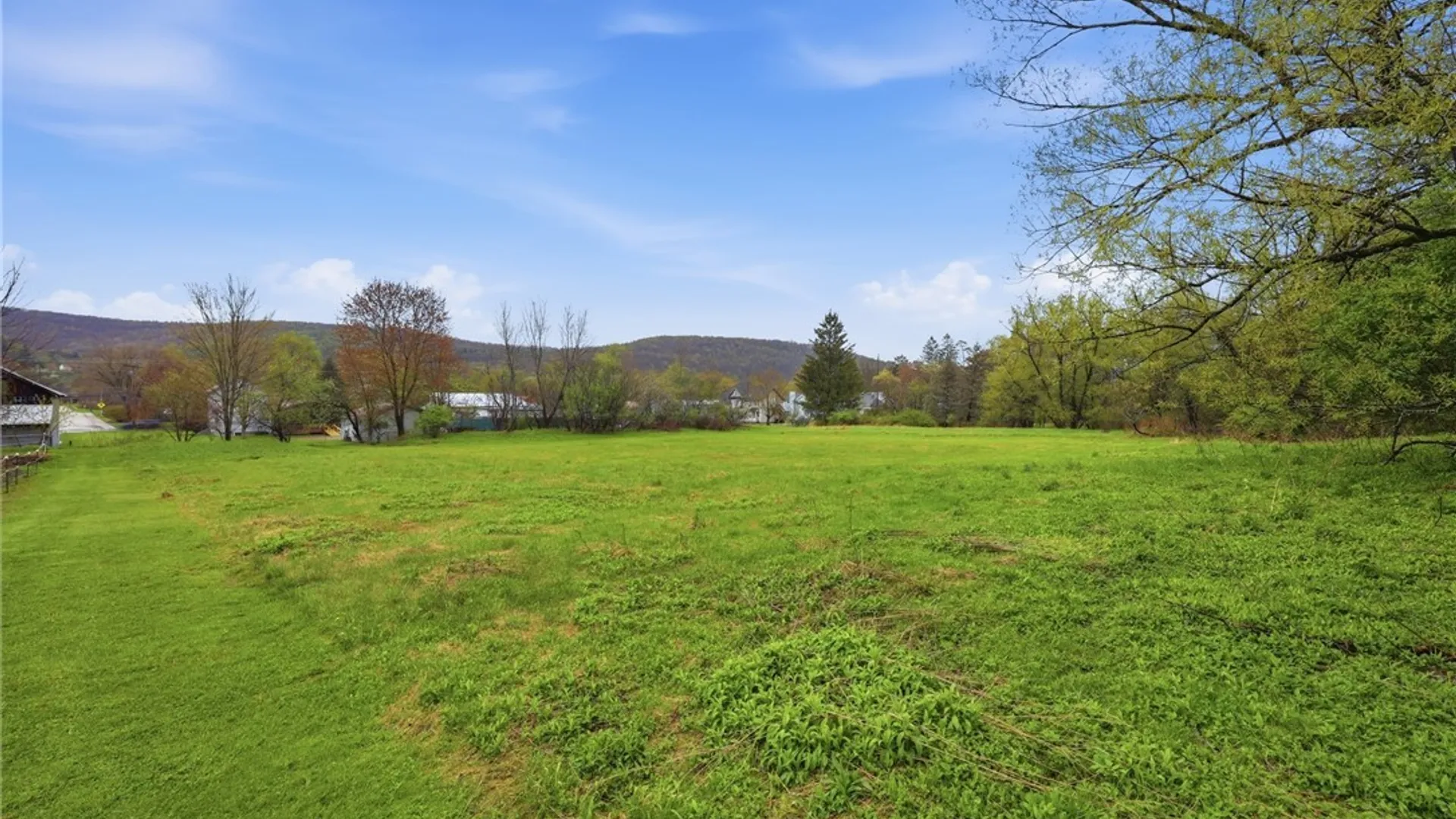 Property at 503 Rock City Street, Little Valley, NY 14755 30