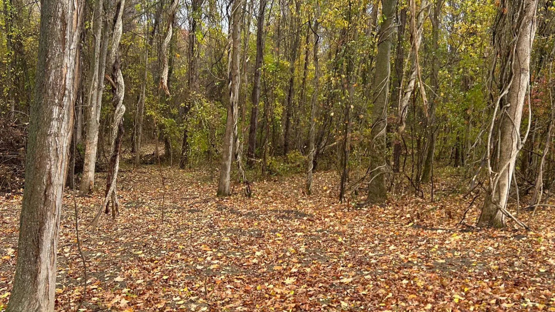 Property at 00 Jean Drive, Amsterdam, NY 12010 4