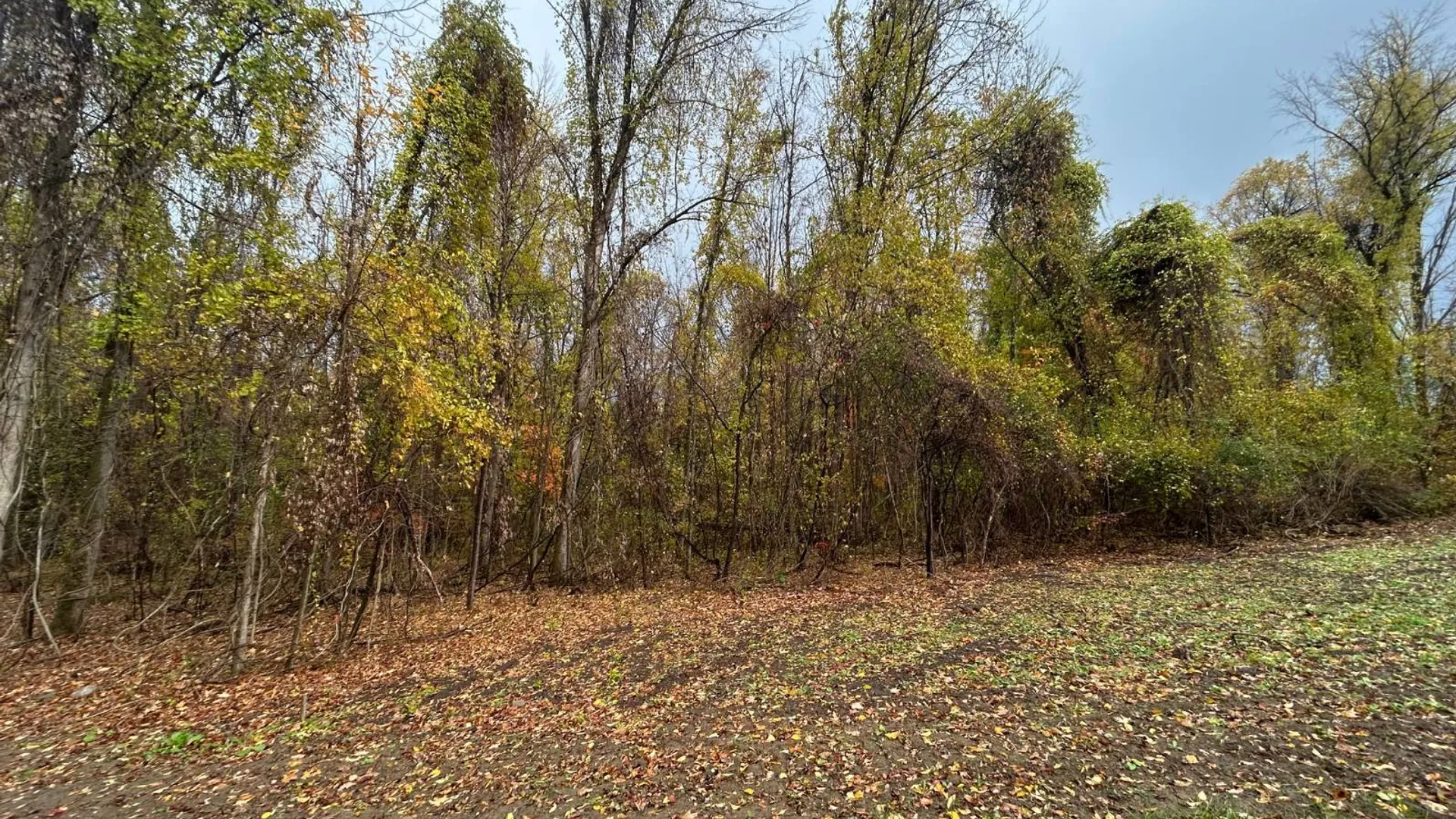 Property at 00 Jean Drive, Amsterdam, NY 12010 5