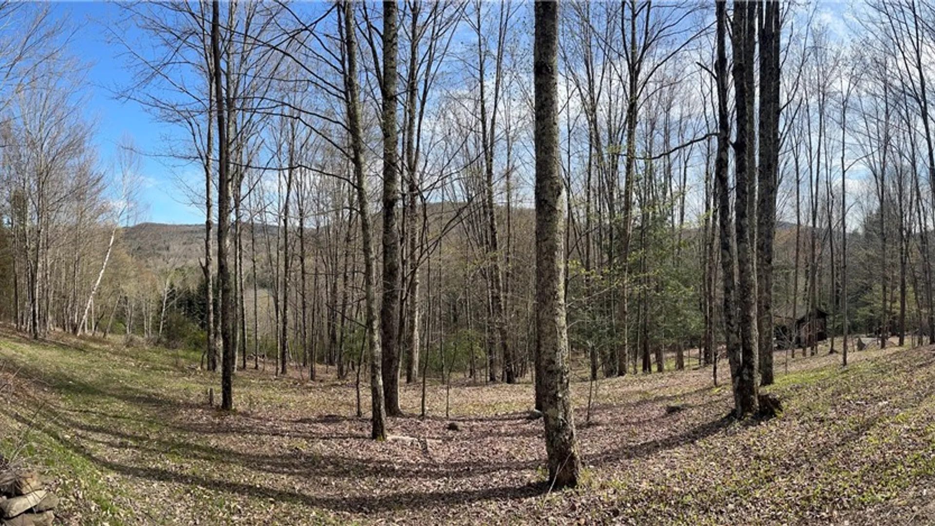 Property at State Highway 30, Andes, NY 13731 10
