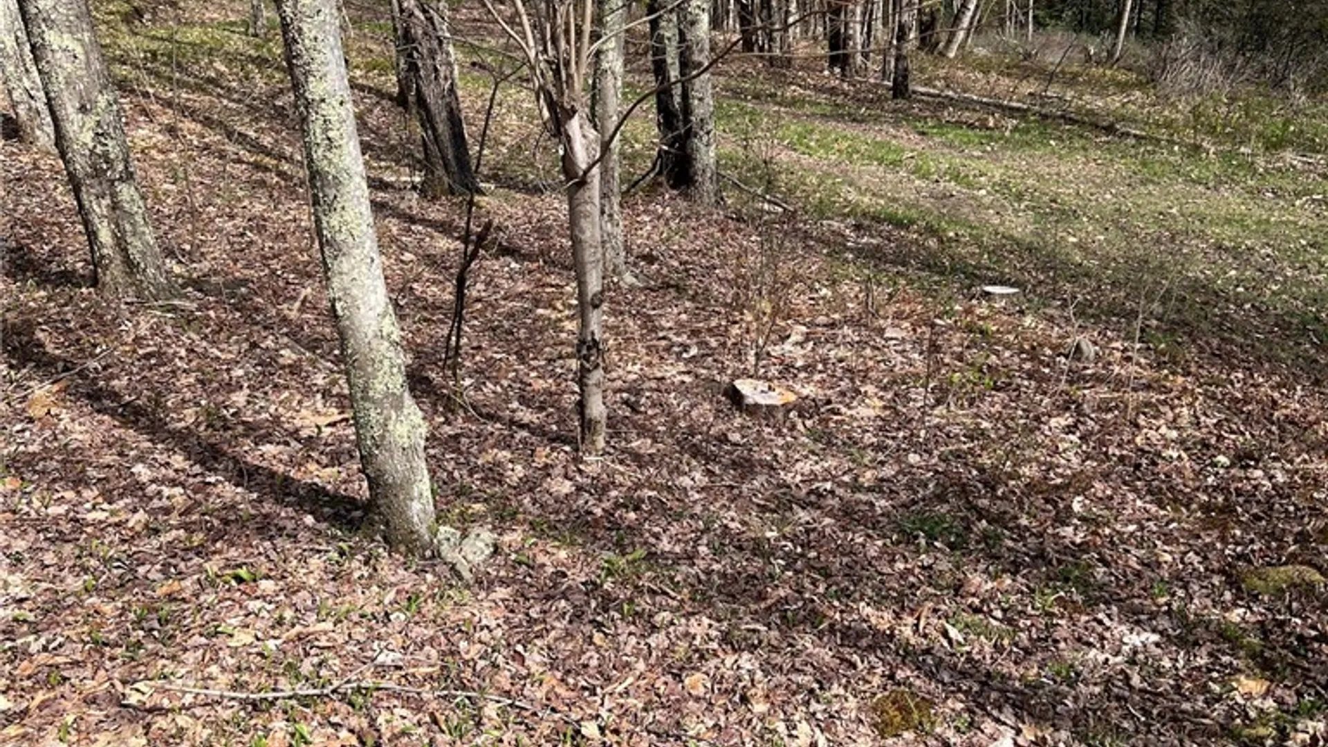Property at State Highway 30, Andes, NY 13731 11