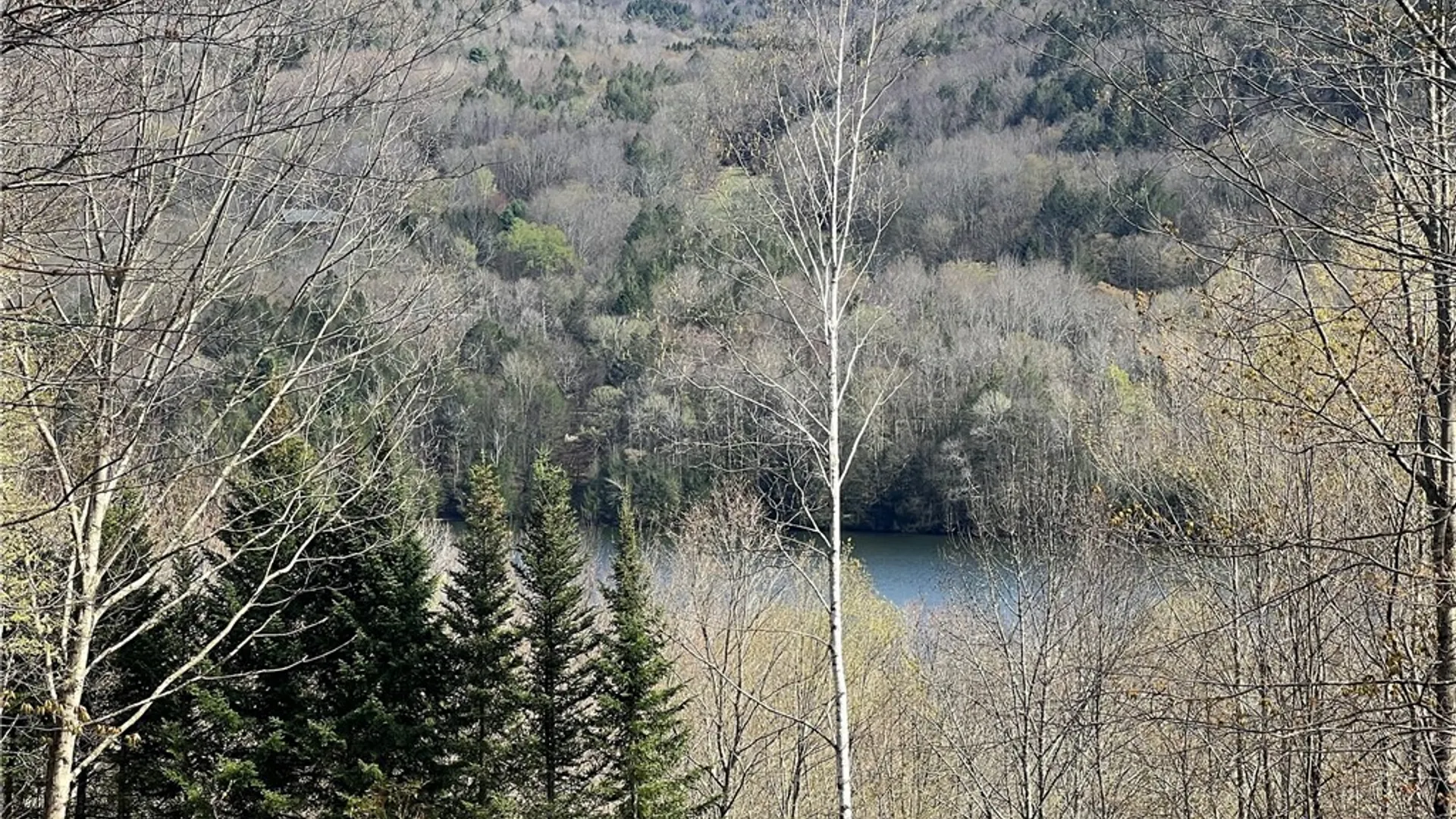 Property at State Highway 30, Andes, NY 13731 12