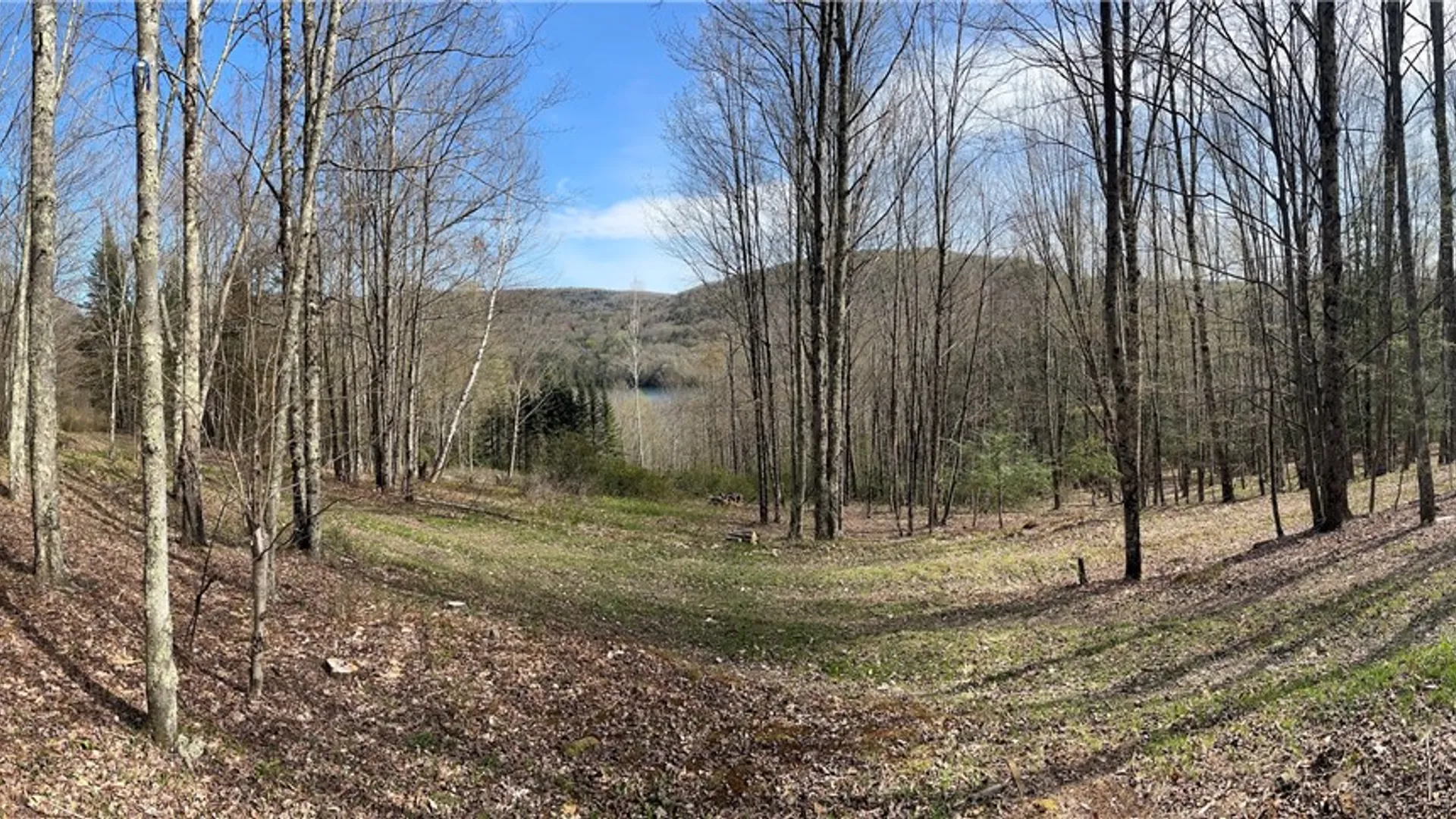 Property at State Highway 30, Andes, NY 13731 13