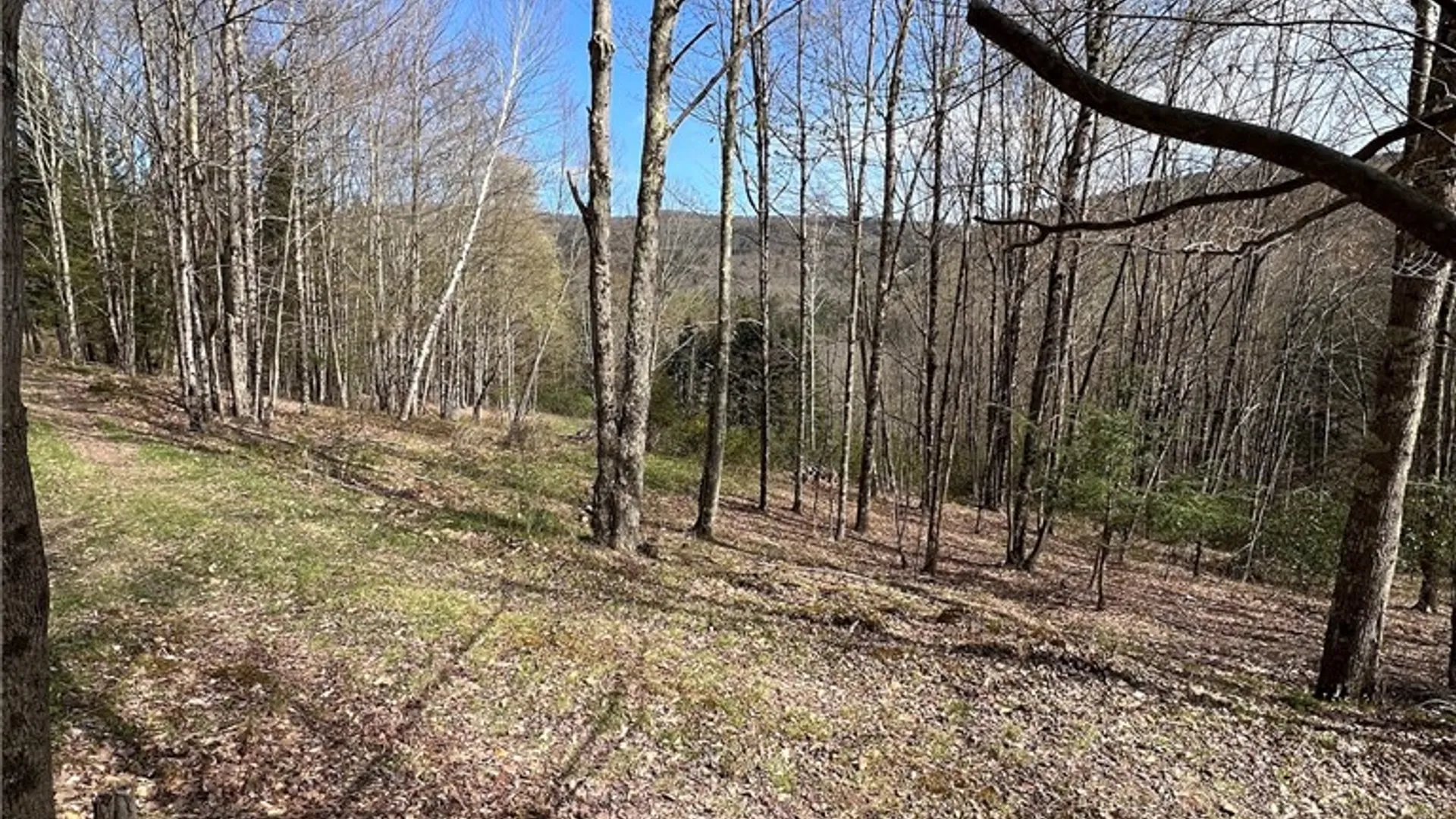 Property at State Highway 30, Andes, NY 13731 14
