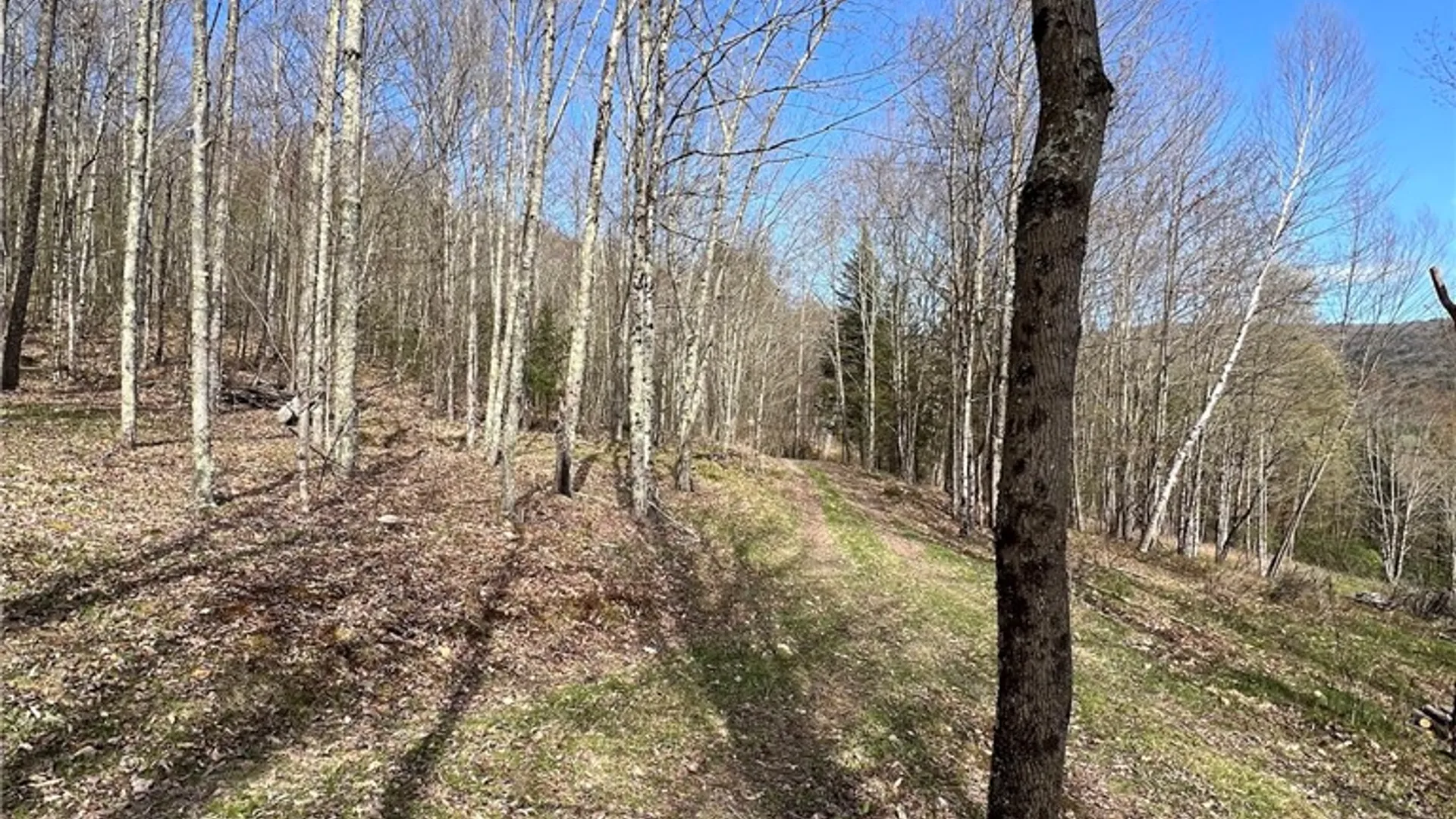 Property at State Highway 30, Andes, NY 13731 15