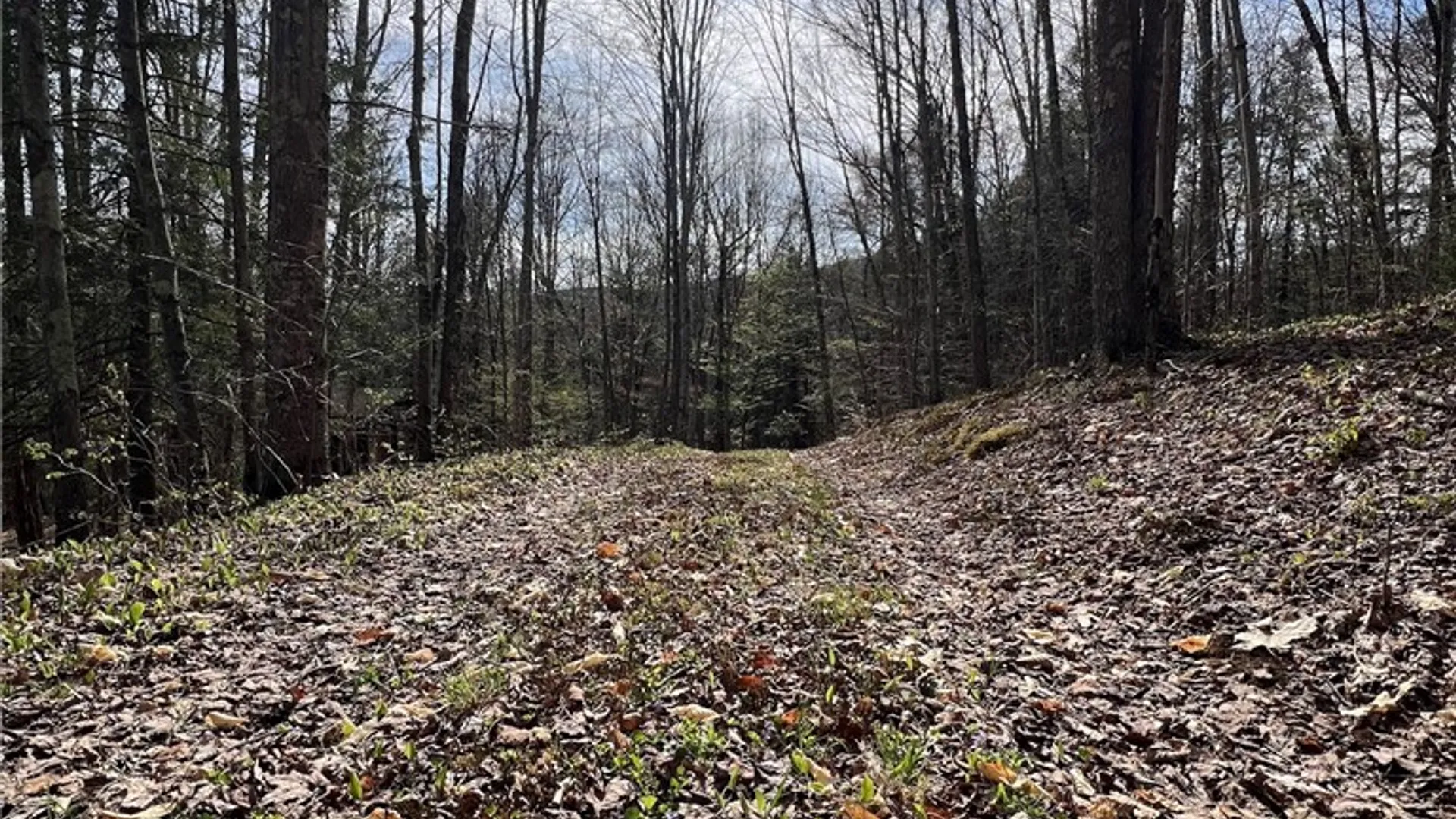 Property at State Highway 30, Andes, NY 13731 16
