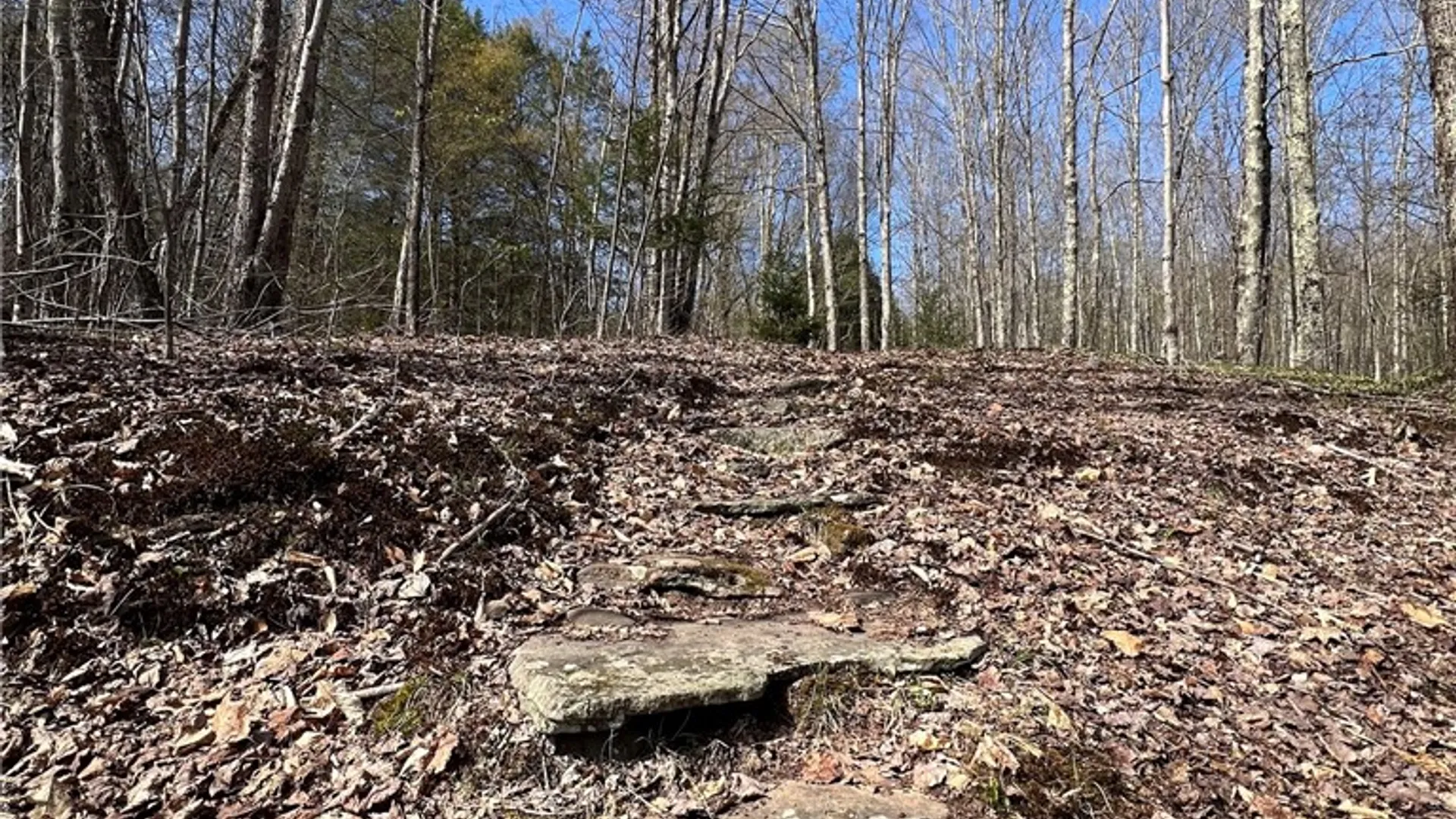 Property at State Highway 30, Andes, NY 13731 17