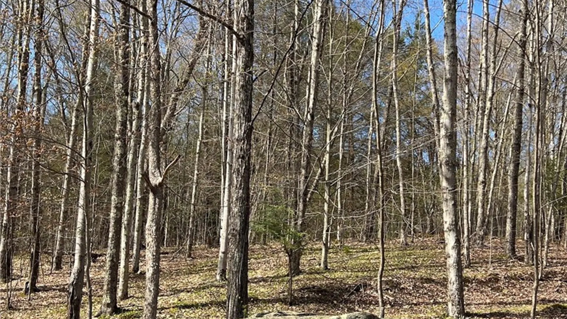 Property at State Highway 30, Andes, NY 13731 19