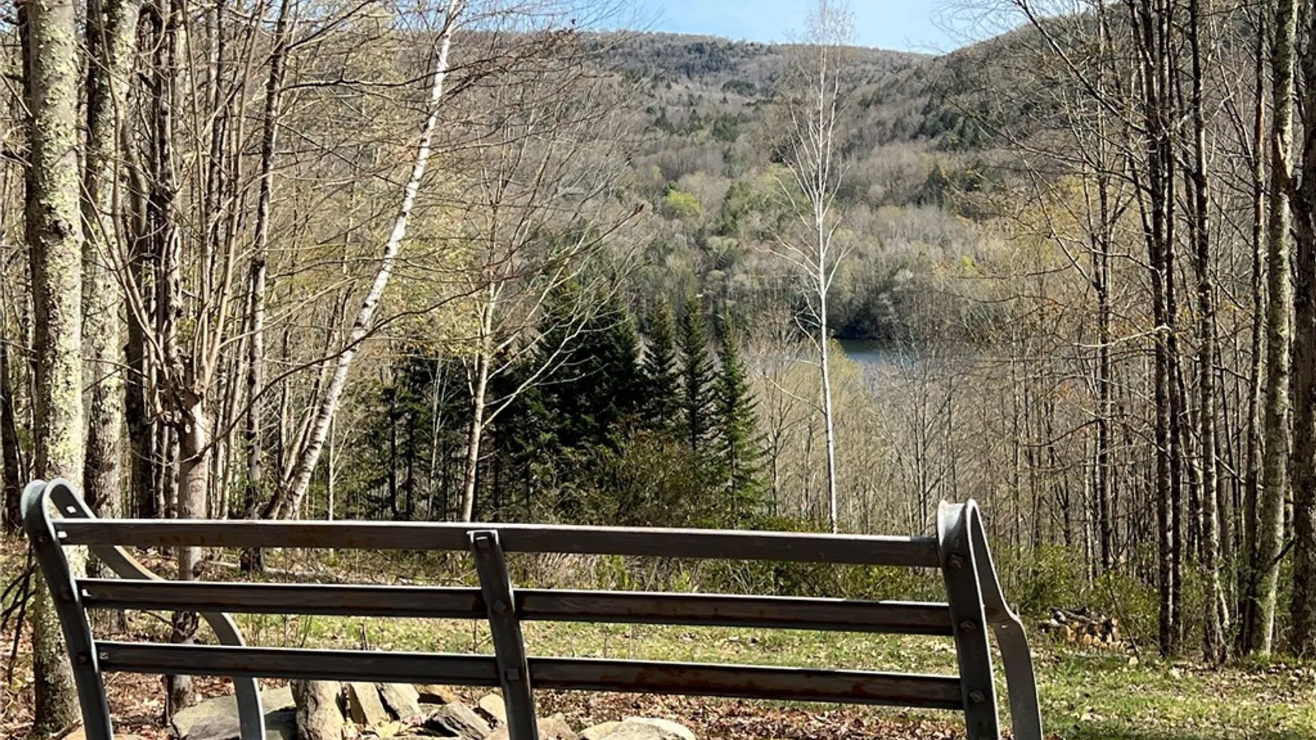 Property at State Highway 30, Andes, NY 13731 2