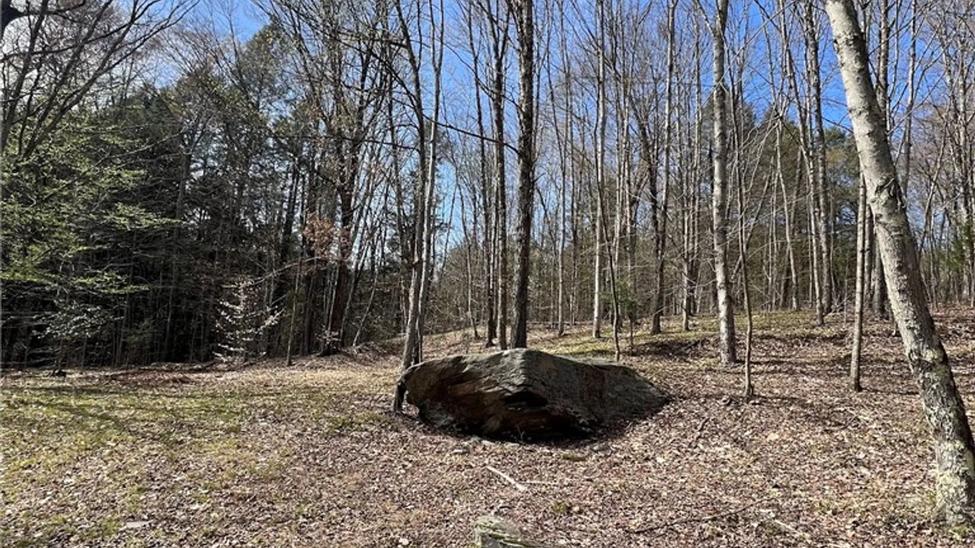 Property at State Highway 30, Andes, NY 13731 23