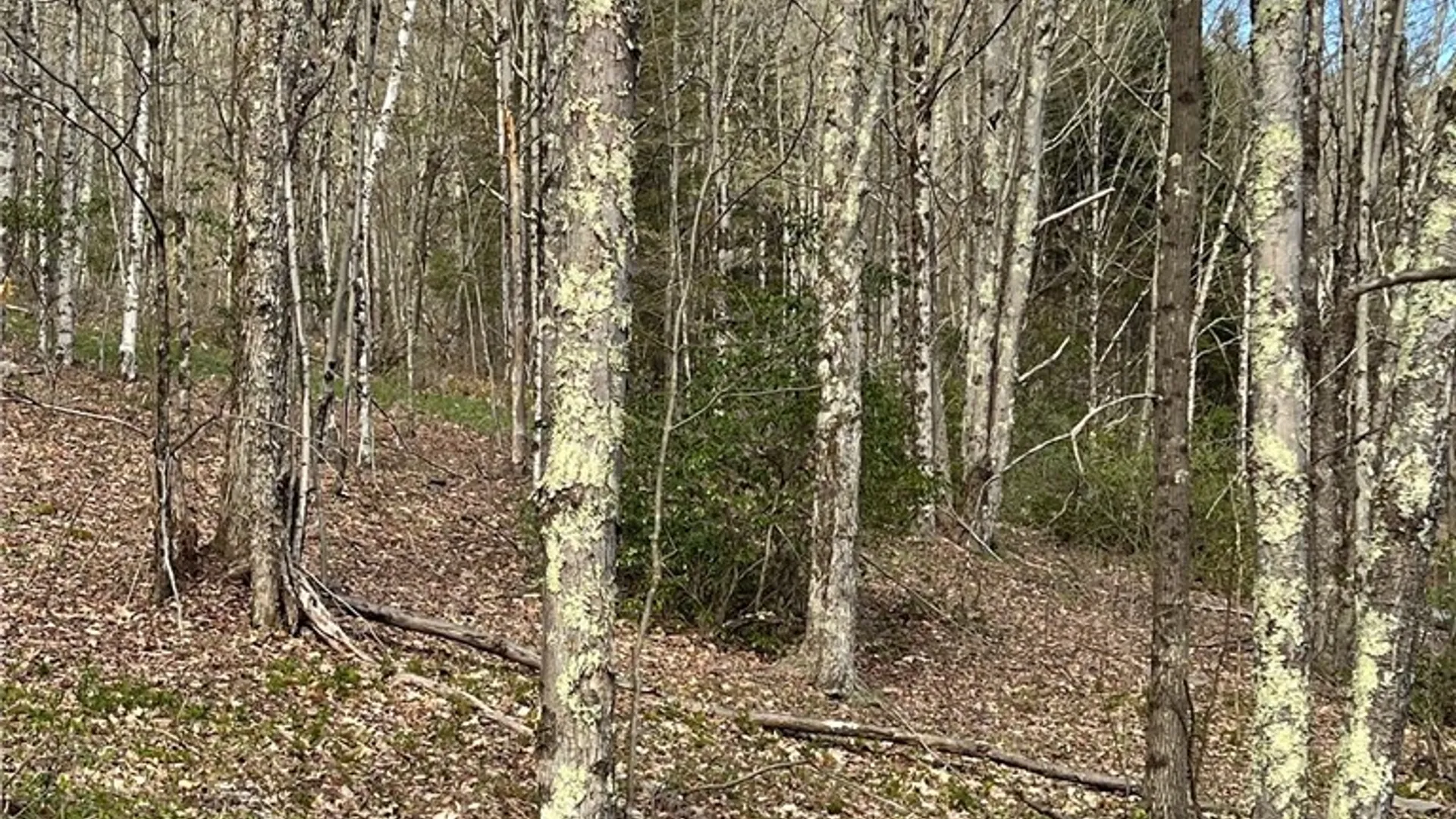 Property at State Highway 30, Andes, NY 13731 25