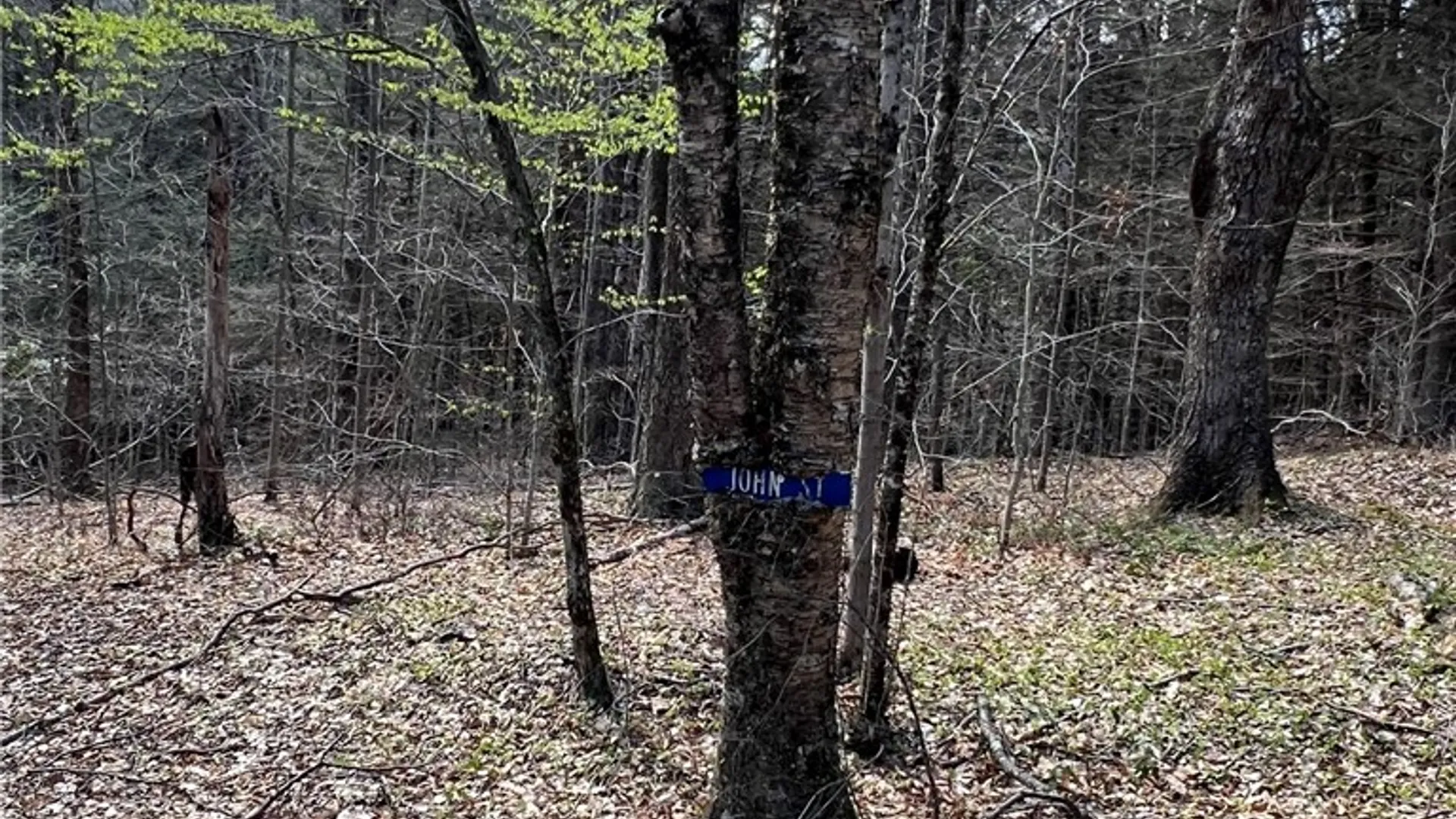 Property at State Highway 30, Andes, NY 13731 26