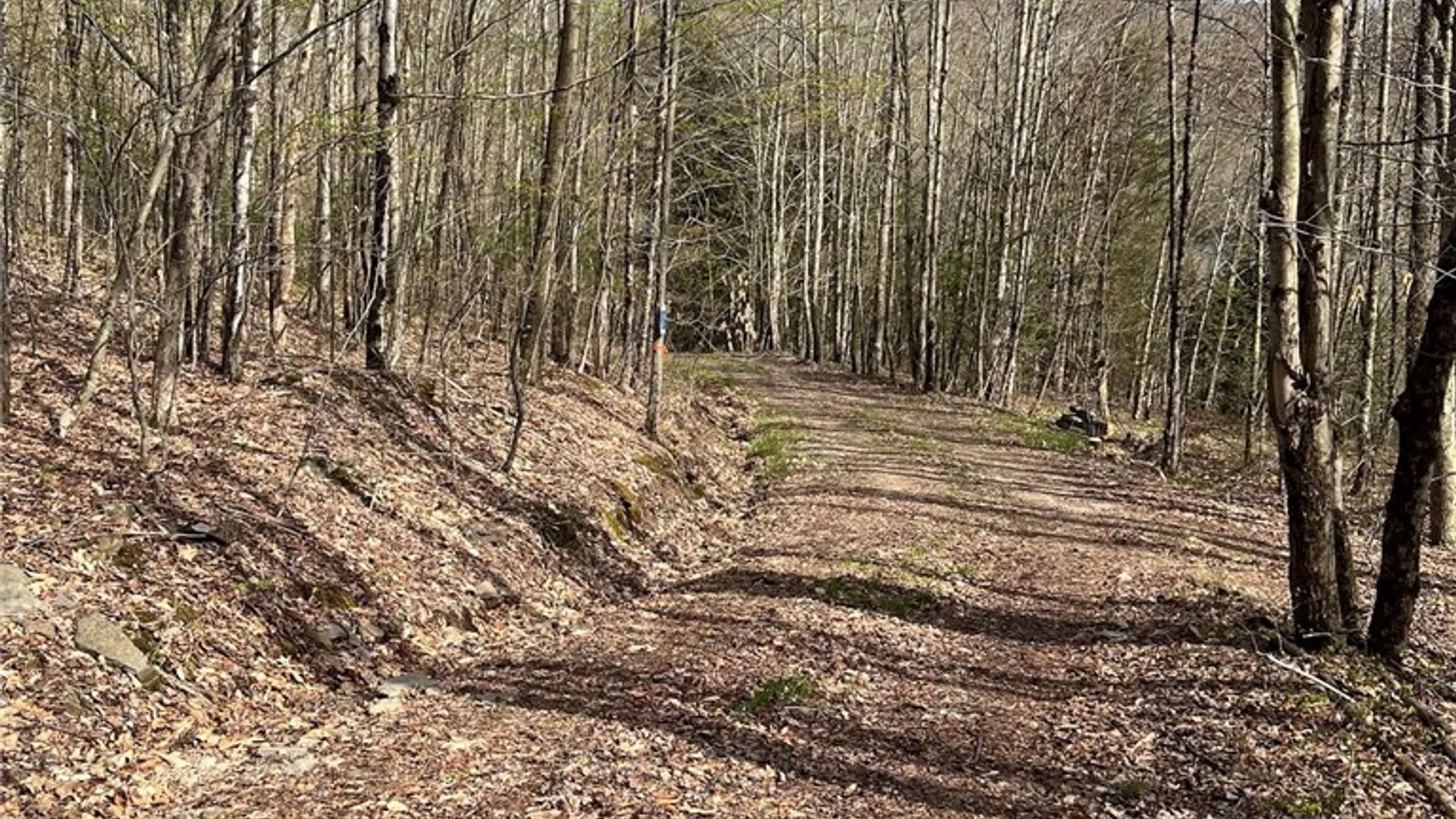 Property at State Highway 30, Andes, NY 13731 28