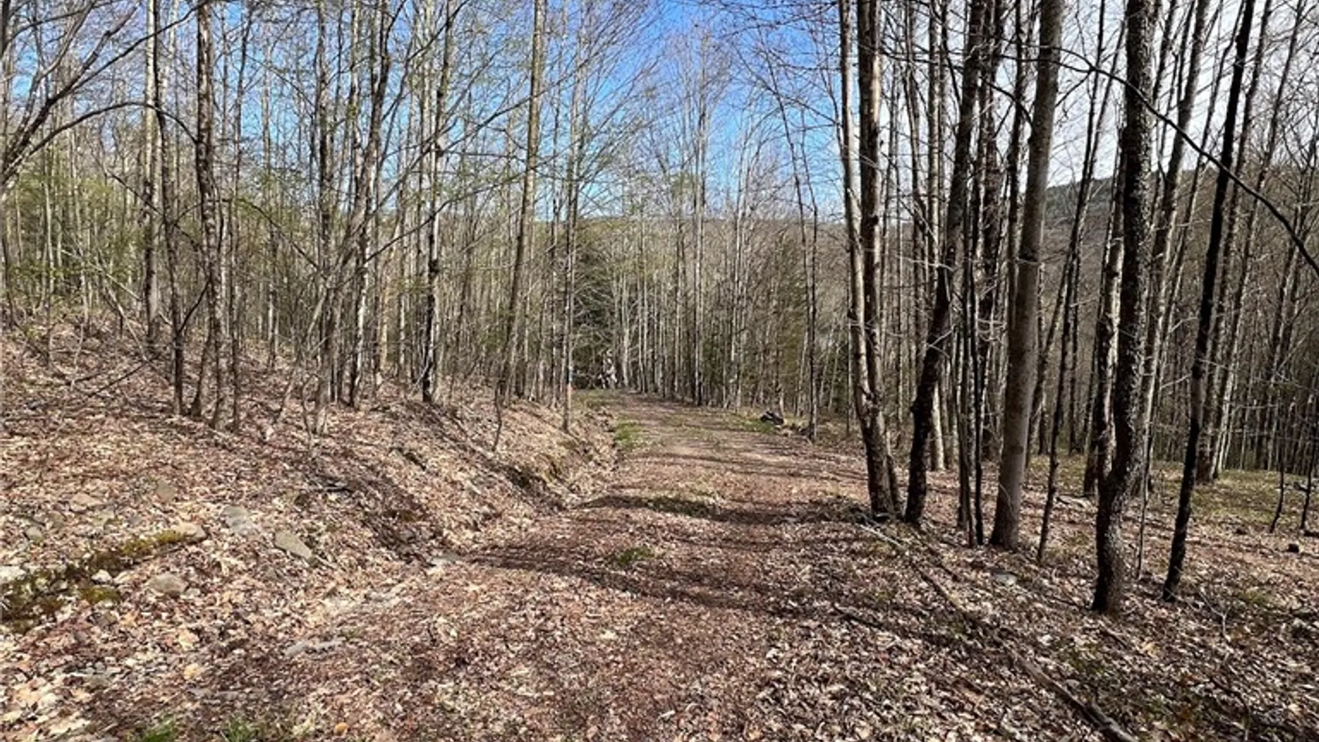Property at State Highway 30, Andes, NY 13731 29