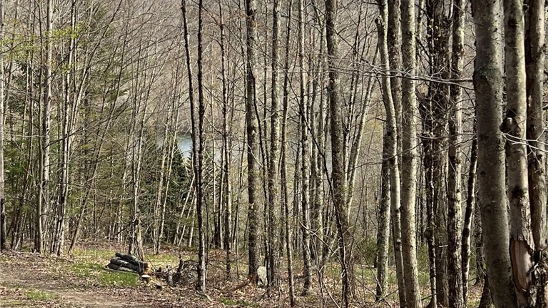 Property at State Highway 30, Andes, NY 13731 30