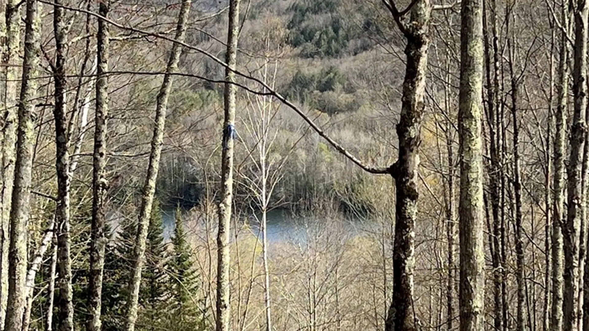 Property at State Highway 30, Andes, NY 13731 31