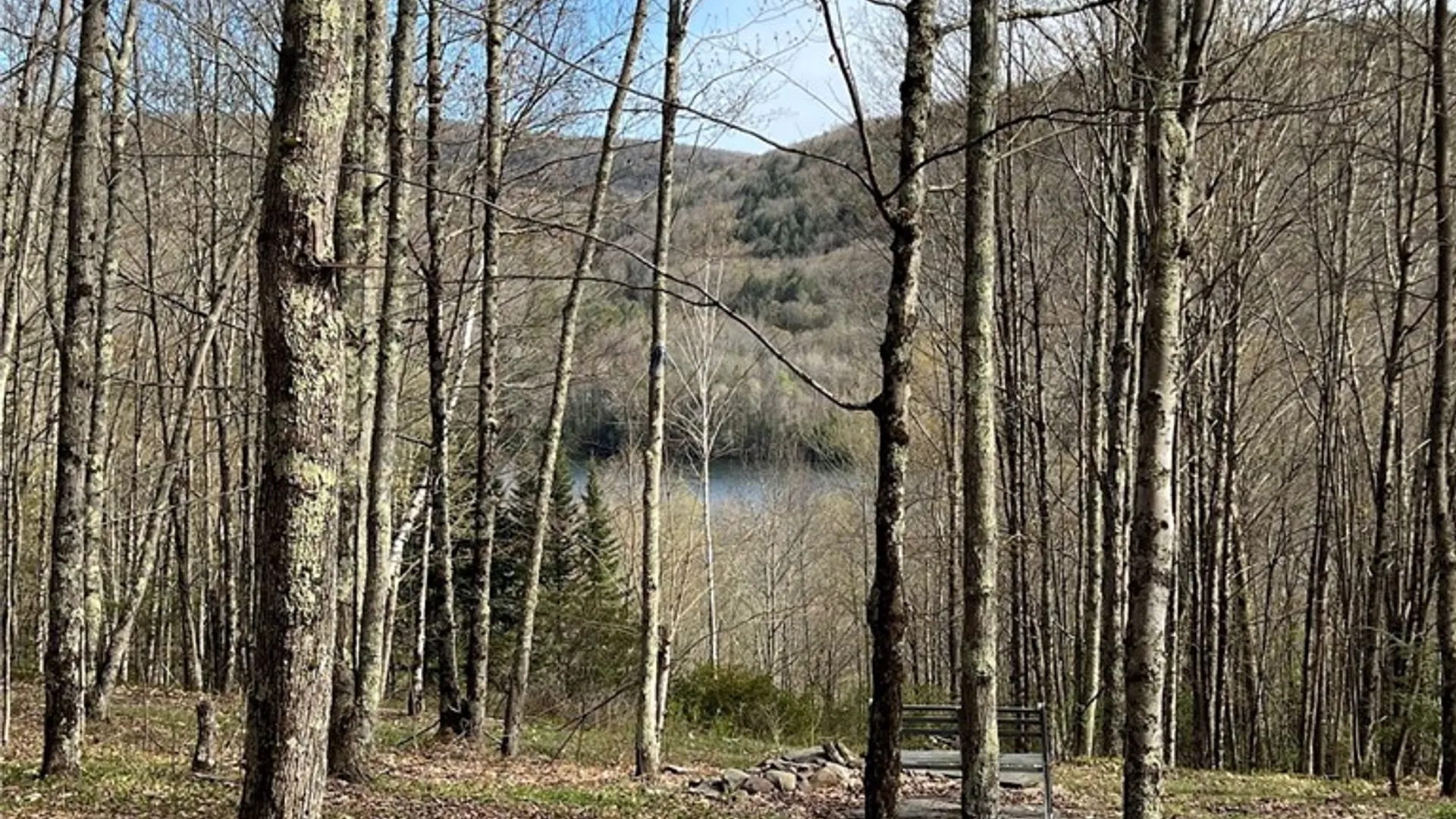 Property at State Highway 30, Andes, NY 13731 32