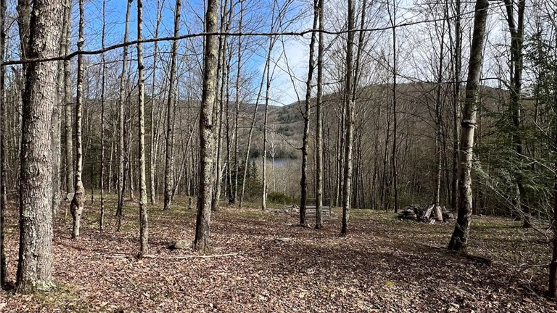 Property at State Highway 30, Andes, NY 13731 33
