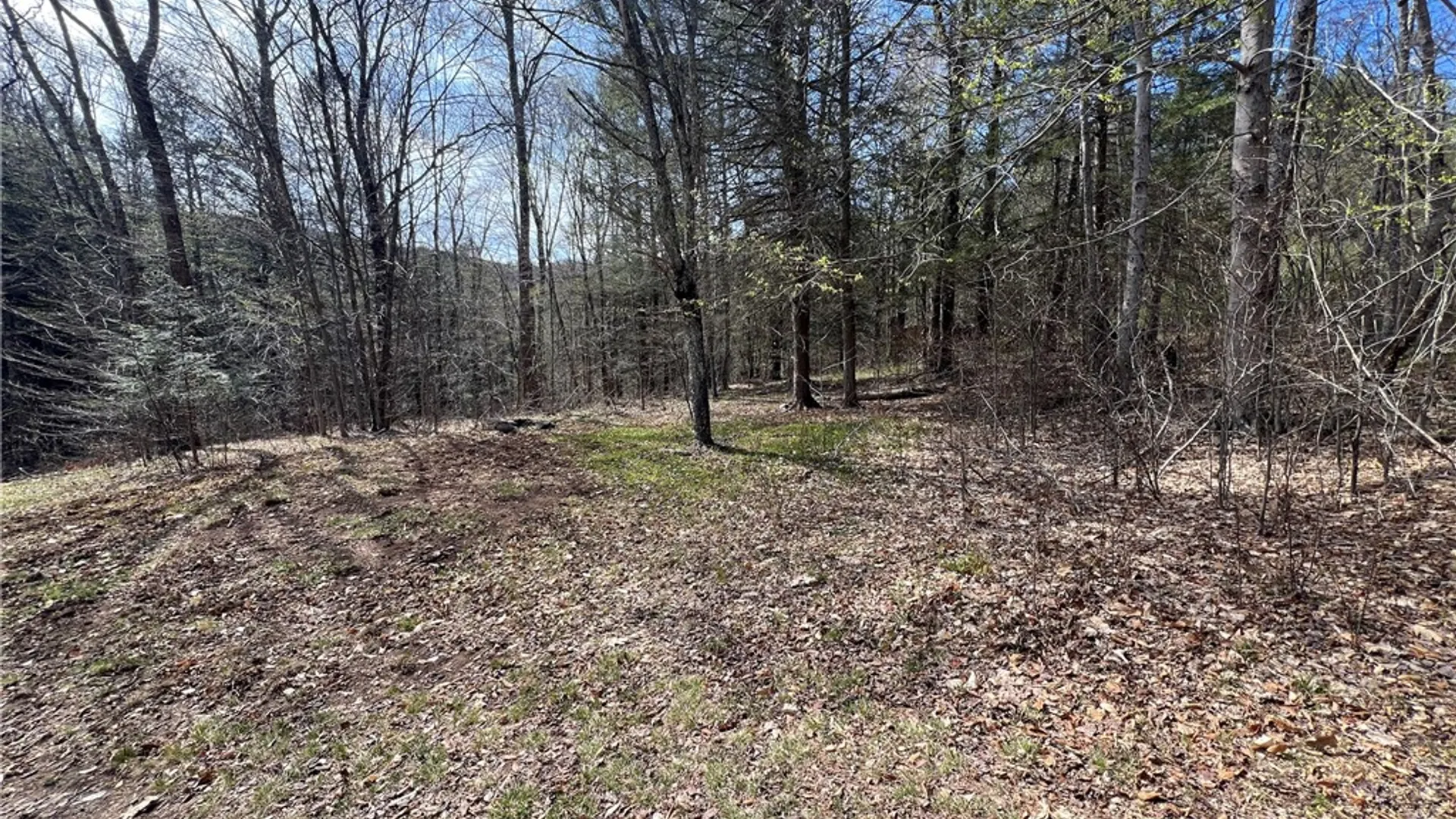 Property at State Highway 30, Andes, NY 13731 4